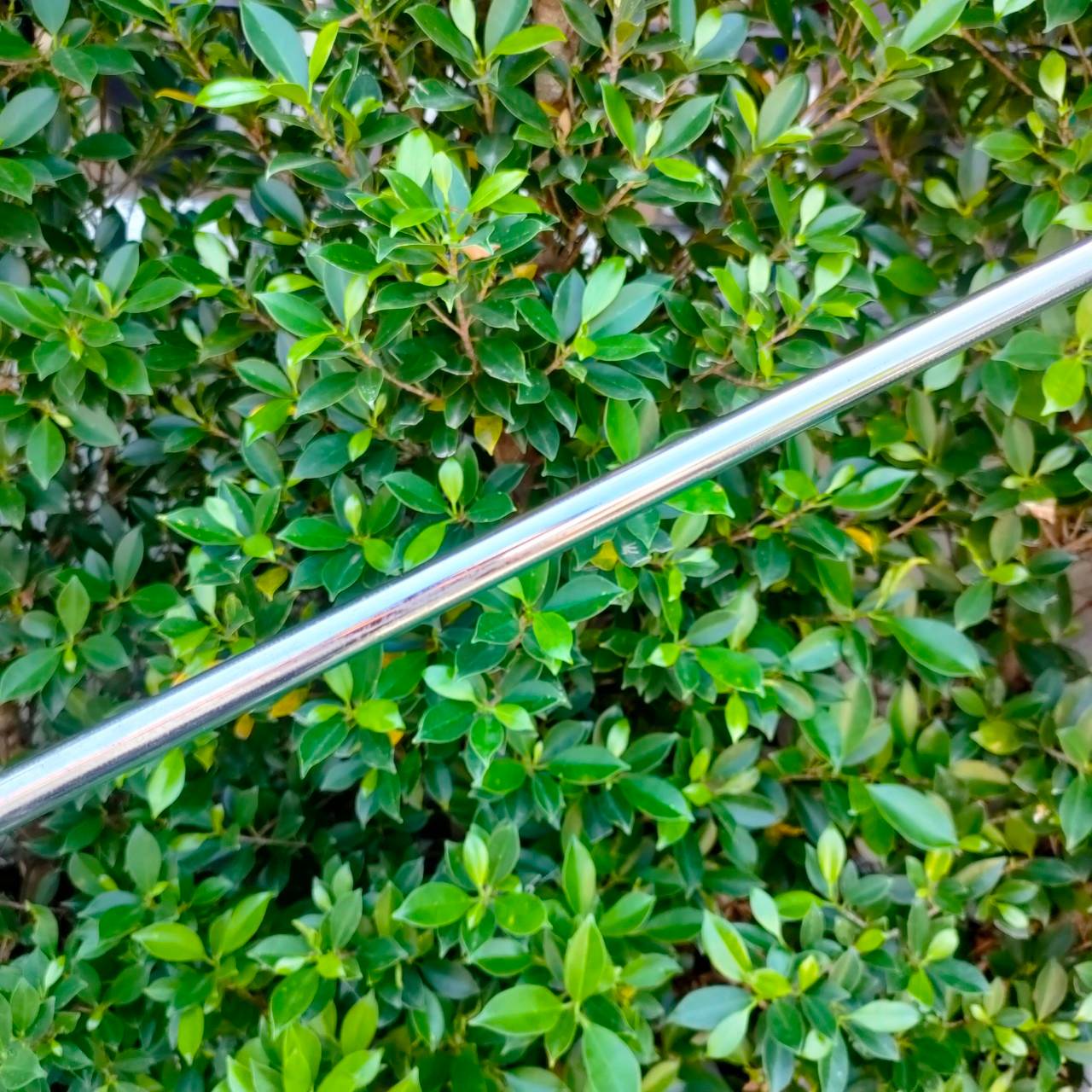 PUTTER FOCUS 542 PARAMITER WEIGHT SYSTEM ทรงสแตนดาร์ด พัตต์ง่าย สีสวยครับ ของดีราคาถูก คุ้มจัด!!!