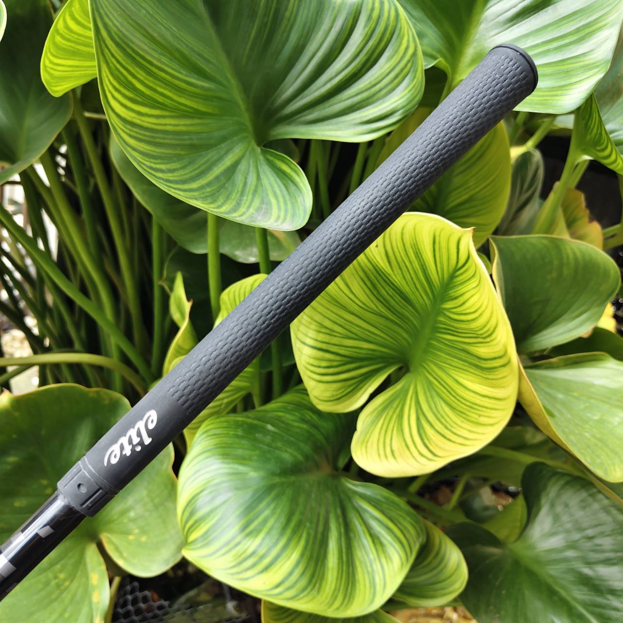 #3 (15°) HONMA TW757 รุ่นท็อประดับทัวร์ ออกแบบเพื่อ “ความเร็ว + การควบคุม” อย่างสมบูรณ์แบบ