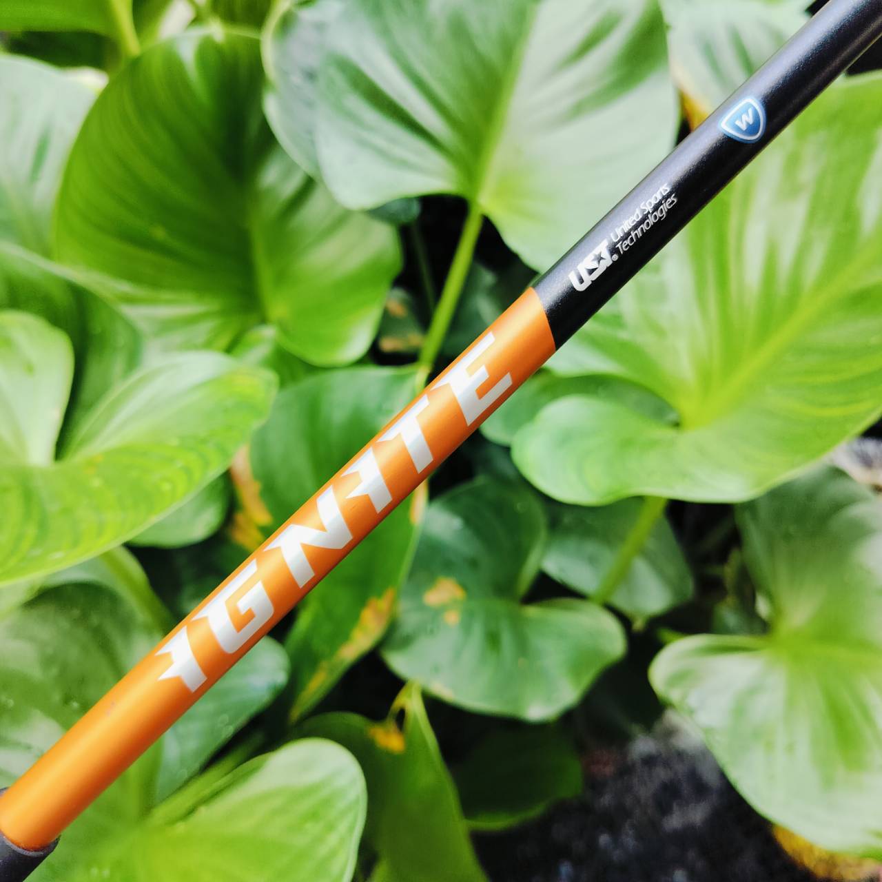 *** ไม้กอล์ฟสำหรับผู้หญิงหรือ ซีเนียร์ที่สวิงเบาๆ ตีได้สบายค่ะ*** . UT5 NIKE IGNITE ออกแบบเรียบหรูและตีดีมาก วัสดุเหมาะกับ UT มากที่สุด ไม้กอล์ฟพรีเมี่ยมมือสอง ของแท้ By NakaraLuxurious