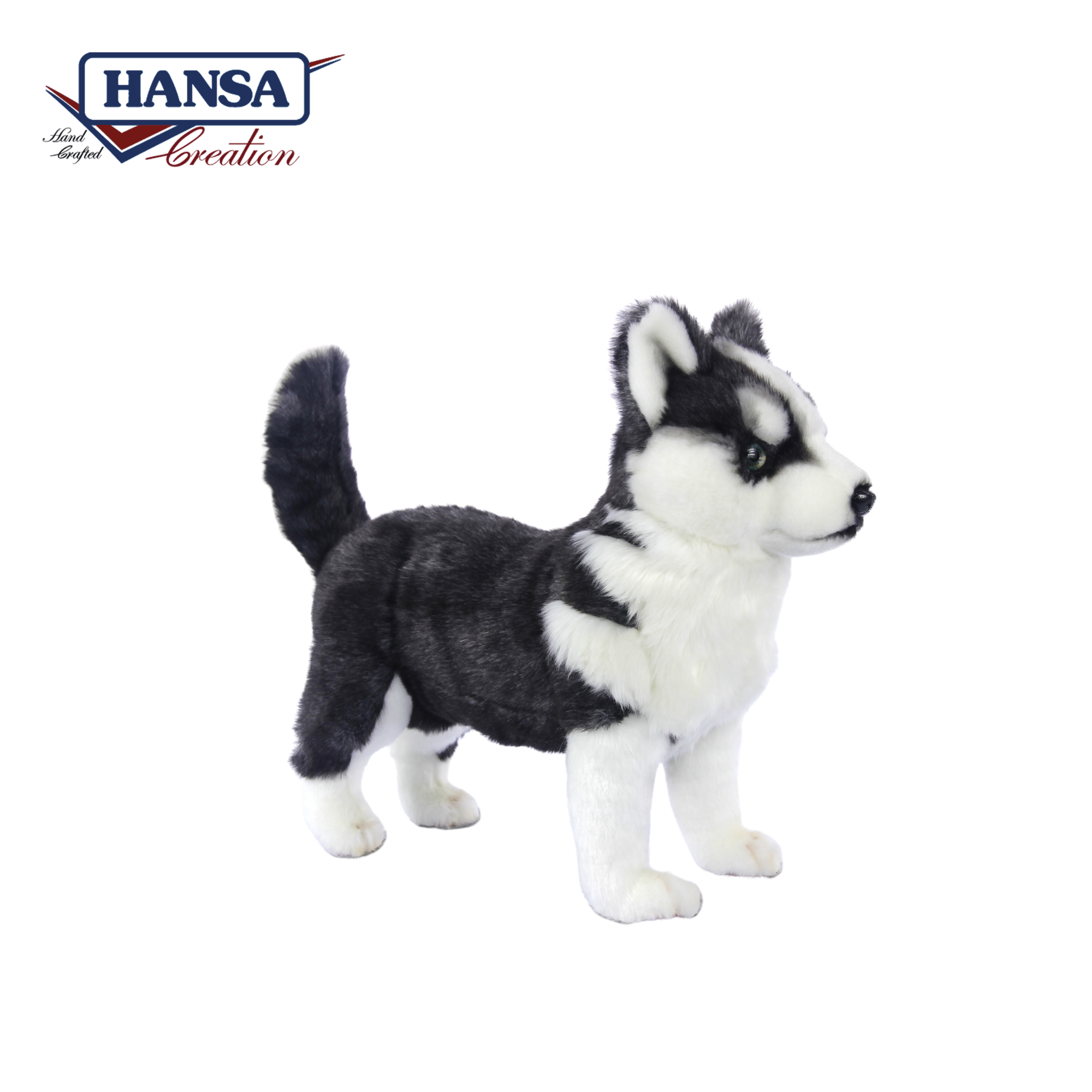 7512 Husky Puppy Standing 43 cm.L