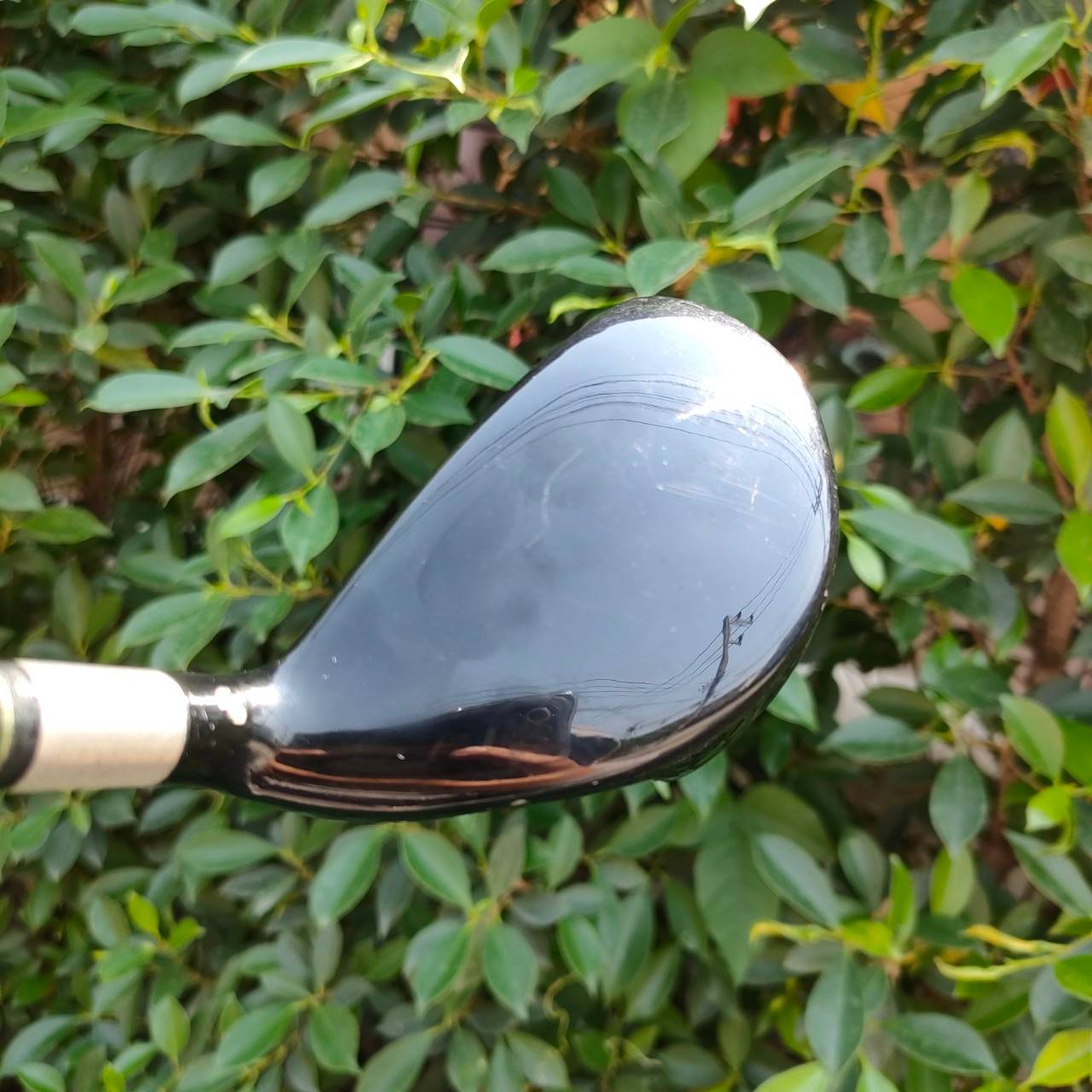 HYBRID SNAKE EYES QUICK STRIKE องศา 20 ก้าน QUICK STRIKE FLEX R ตีง่าย ใช้แทนเหล็กยาวได้เลย