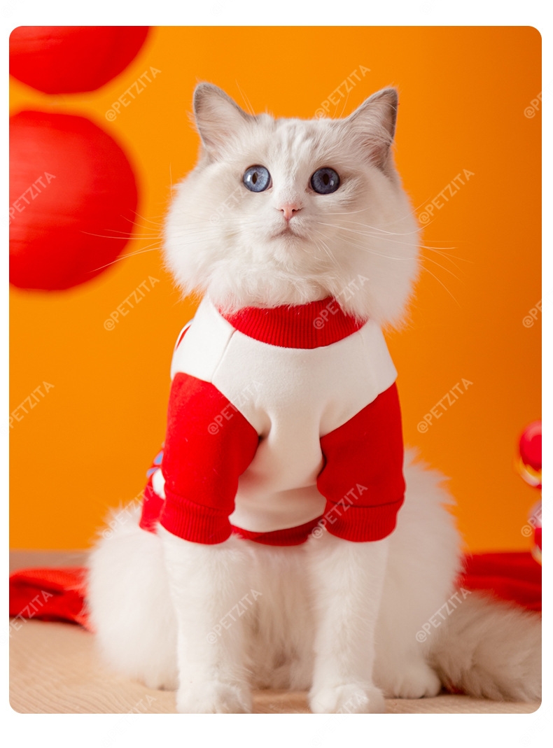 🇹🇭พร้อมส่ง🇹🇭 🔴🎉🧨🧧เสื้อแดง เสื้อตรุษจีน for pet สัตว์เลี้ยง สุนัข หมา แมว