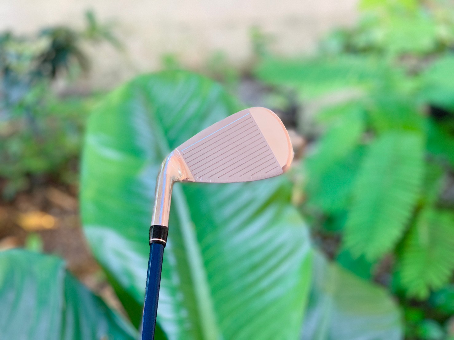 FULL SET PGM RIO 2016