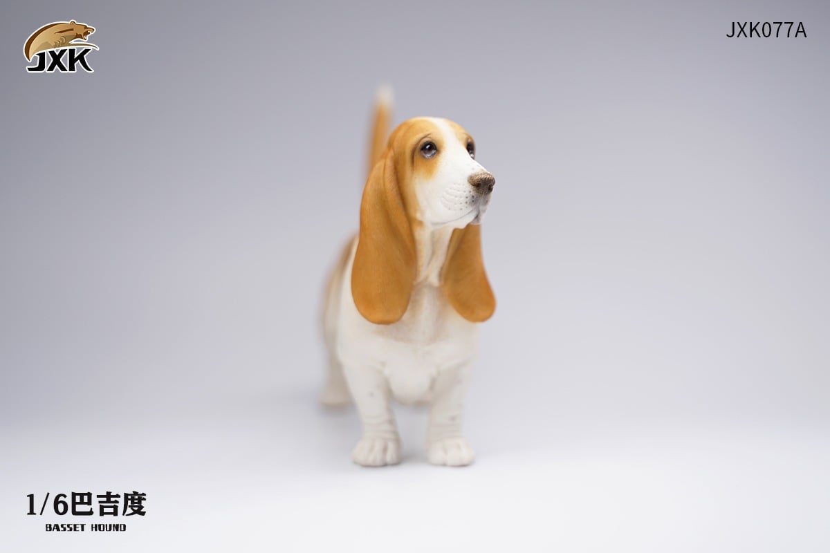 [สั่งจอง]JXK JXK077 1/6 : Basset Hound