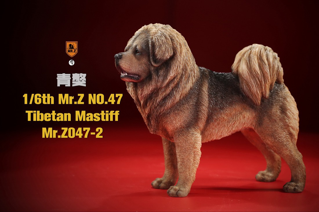 [สั่งจอง] MR. Z Animal Model MRZ047 1/6th Tibetan Mastiff