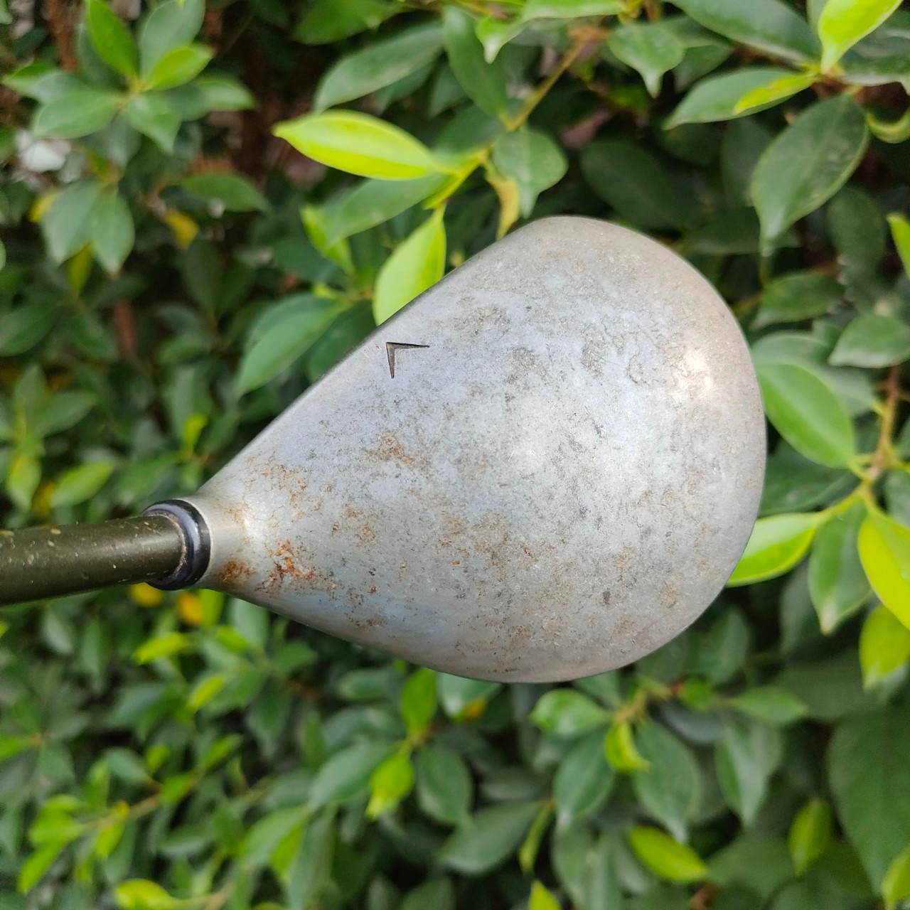 FW7 WINBO USA TOUR WORLD FAMOUS ก้าน WINBO FLEX S ตีแทนเหล็กยาวได้เลย