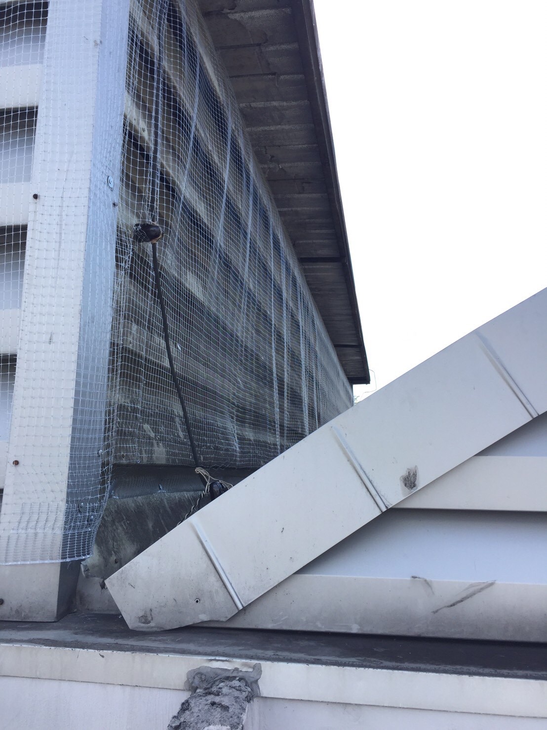 งานติดตาข่ายกันนก ตึกกายวิทยาทาน มหาวิทยาลัยมหิดล