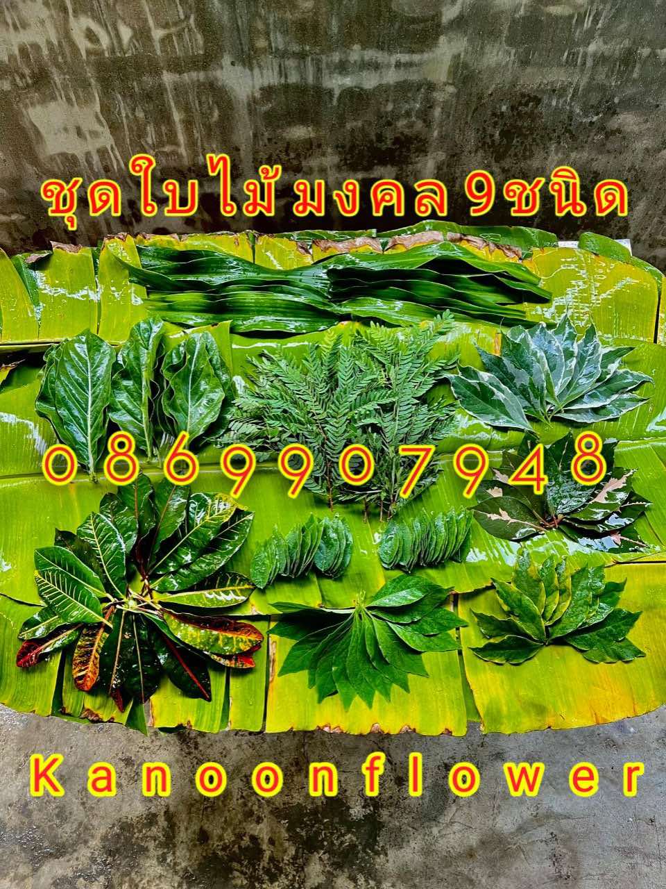 ใบไม้มงคลพิธี9อย่าง