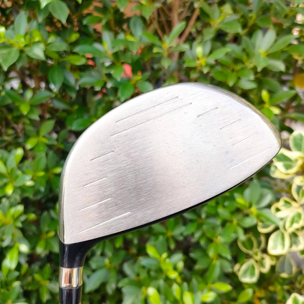 DRIVER KING COBRA SPEED LD SOON INERTIA ก้าน ALDILA NV FLEX R องศา 9 หัวดี ตีไกล หน้าเด้ง ตีง่าย กระดองรีดพลัง เด้งมากๆ ก้าน ALDILA ก้านดีมากครับ COBRA เน้นตีง่าย ตีไกล เสียงสนั่น