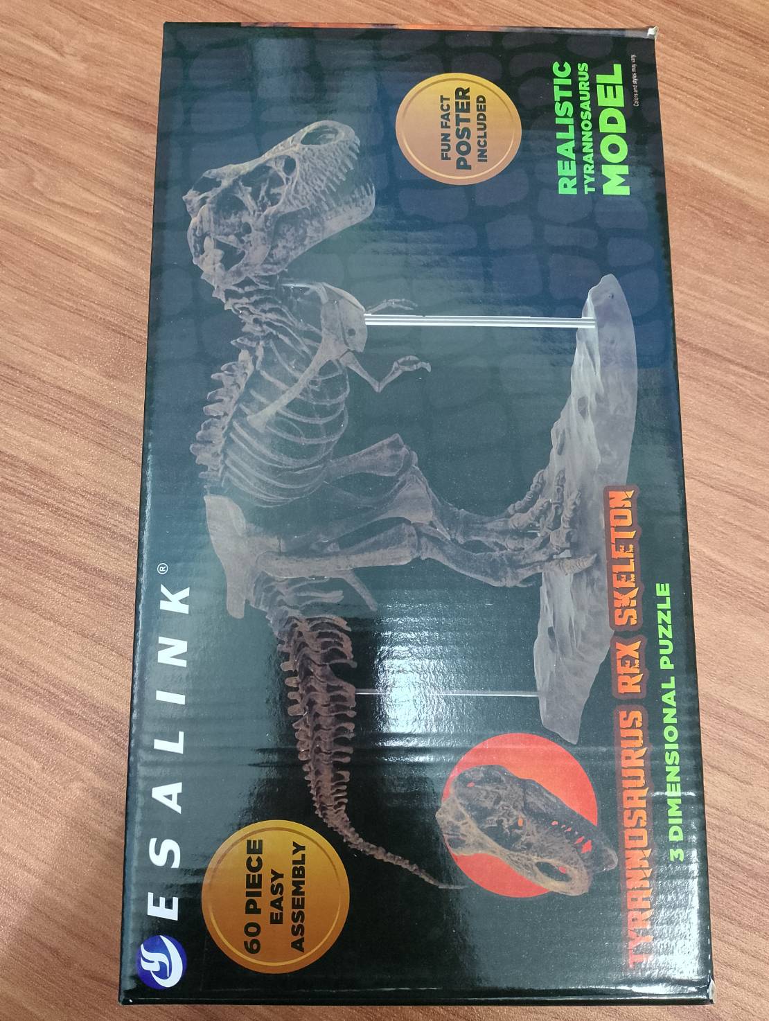 ไดโนเสาร์จำลอง โครงกระดูก ซากฟอสซิส ,โมเดลสัตว์ , สัตว์จำลอง, ของเล่นเสริมพัฒนาการ, ของเล่น, สื่อการสอน