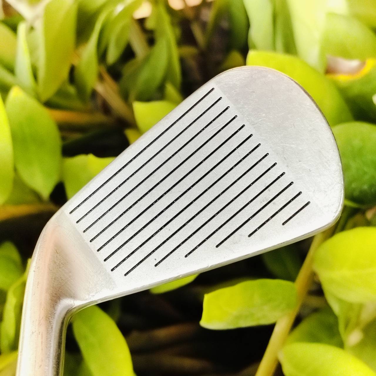 *** ขาดเหล็ก 7 *** ชุดเหล็ก KASCO GRANSEED SS-01 วัสดุ SHOCKLESS STEEL สุดนุ่ม เด้ง MADE iN JAPAN ใบกำลังดี ไม่ใหญ่มาก ไม้กอล์ฟพรีเมี่ยมมือสอง ของแท้ By NakaraLuxurious