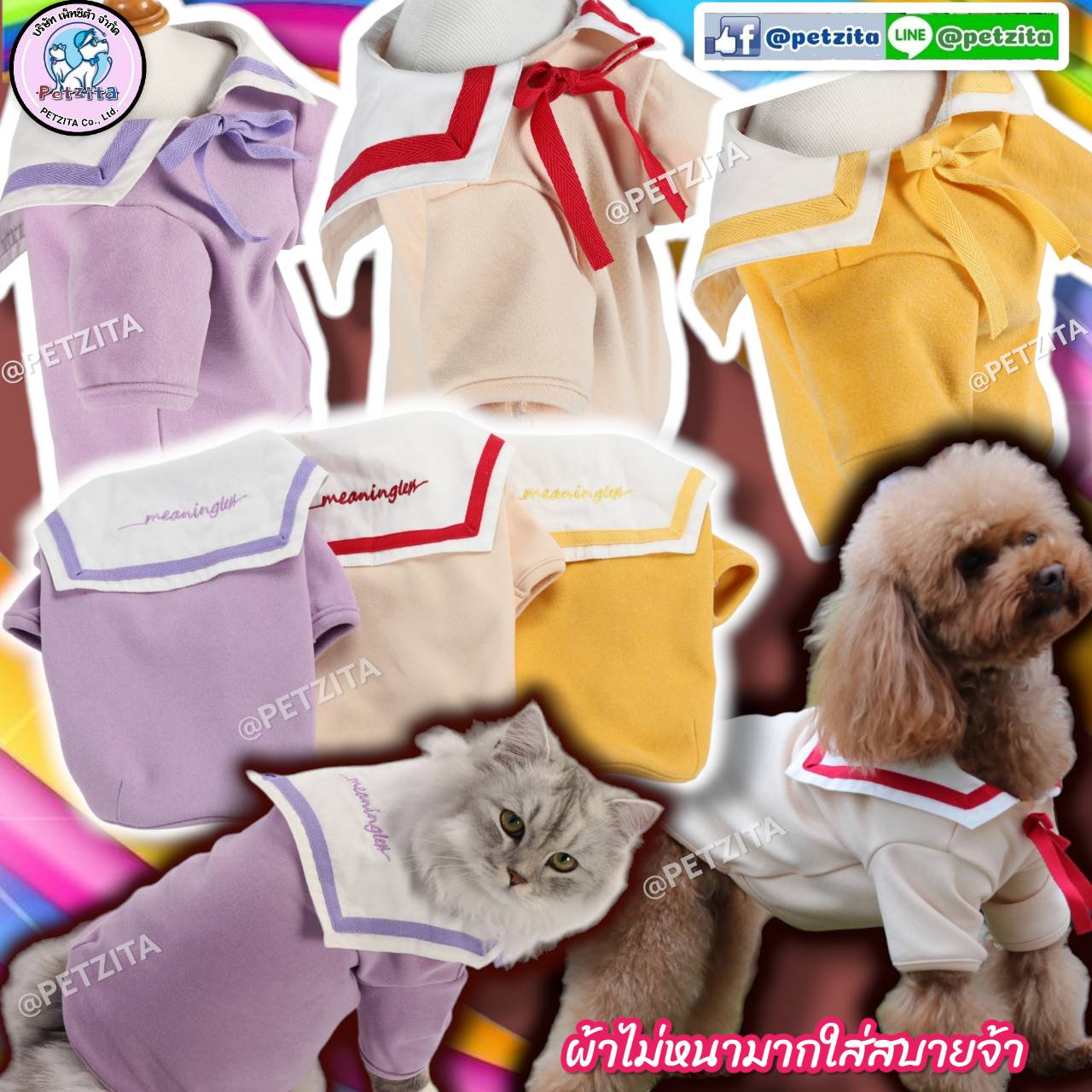 🇹🇭พร้อมส่ง🇹🇭👕🌈🍭เสื้อปกกะลาสีติดโบไทด์ที่คอ สีพาสเทลสดใสน่ารัก for pet เสื้อสุนัข หมา แมว สัตว์เลี้ยง