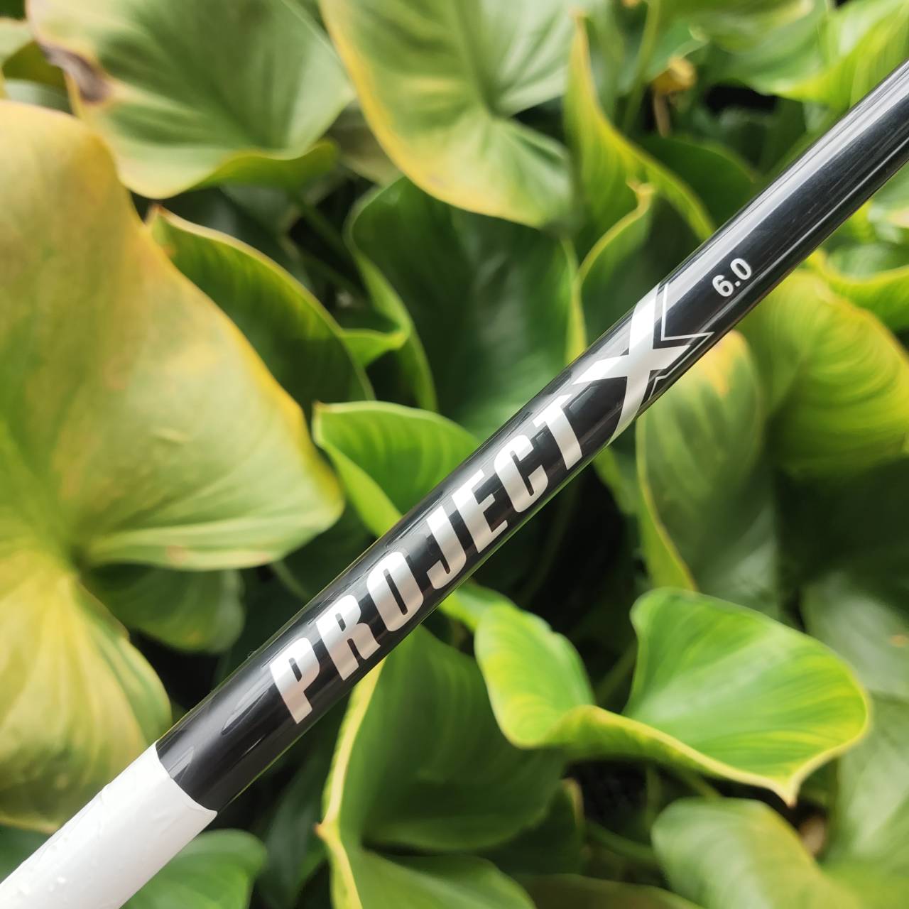 Driver PING i20 – Loft 10.5° ก้าน Project X 6.0 (Stiff) ตีง่าย ลูกลอยดี ควบคุมทิศทางได้ดี