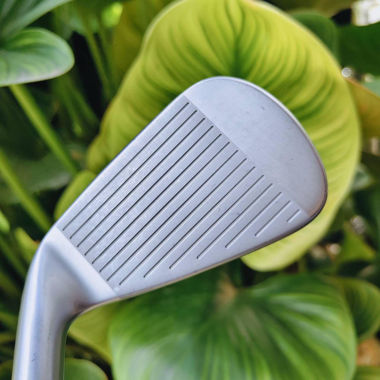 Taylormade P770 2023 ออกแบบมาสำหรับนักกอล์ฟที่ต้องการ ระยะทาง + ความแม่นยำ + ฟีลลิ่งสุดพรีเมียม