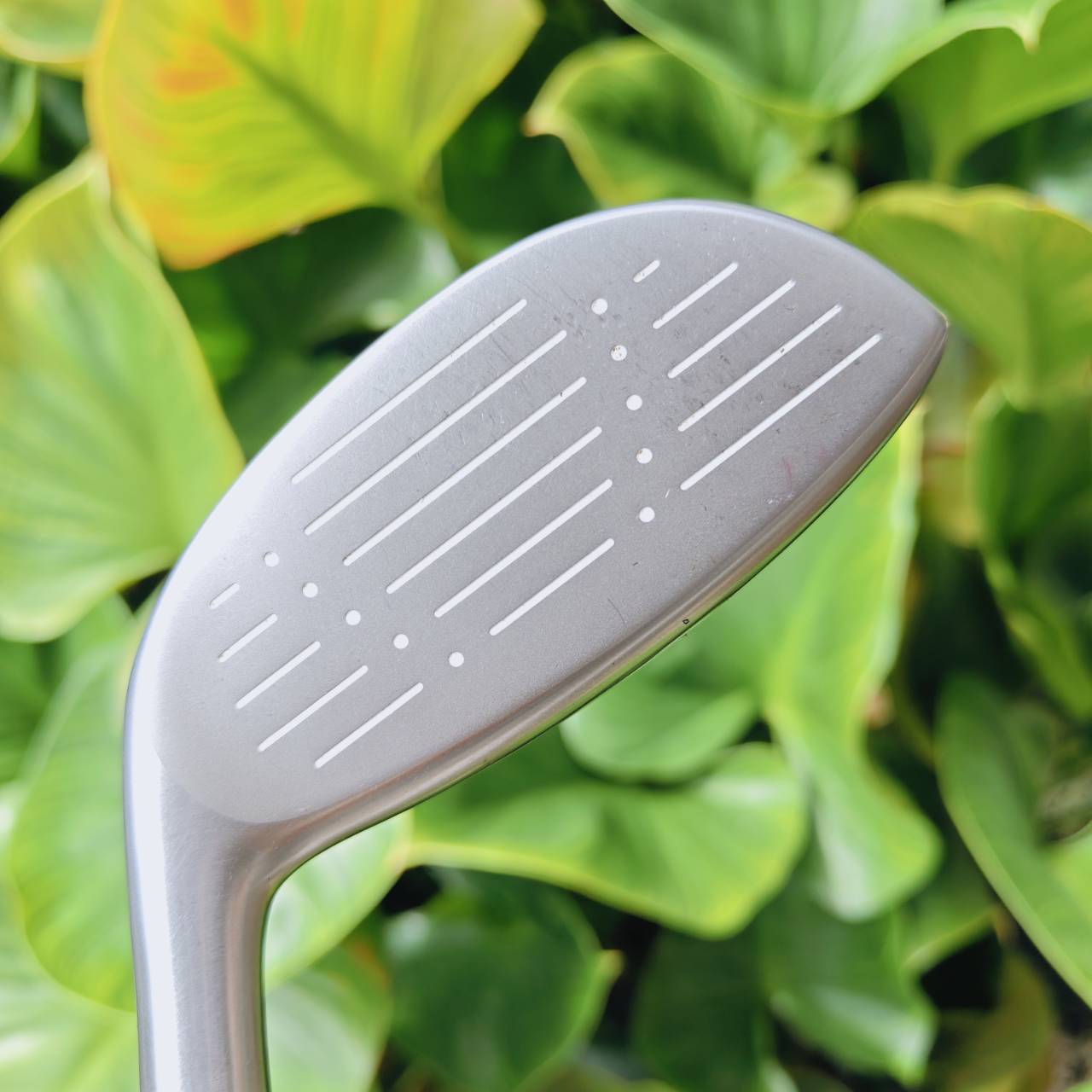 ผู้หญิง U3 KING COBRA BAFFLER TWS ไฮบริดในตำนานที่ขึ้นชื่อว่า “ตีง่ายที่สุด” จาก KING COBRA