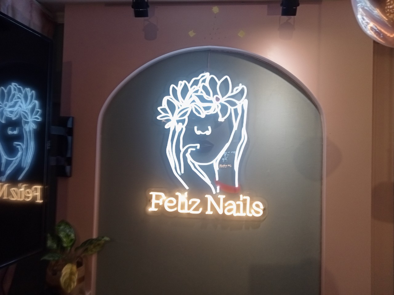 ไฟนีออน เฟค