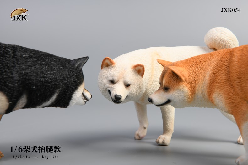 [สั่งจอง]JXK studio 1/6 : Shiba Inu