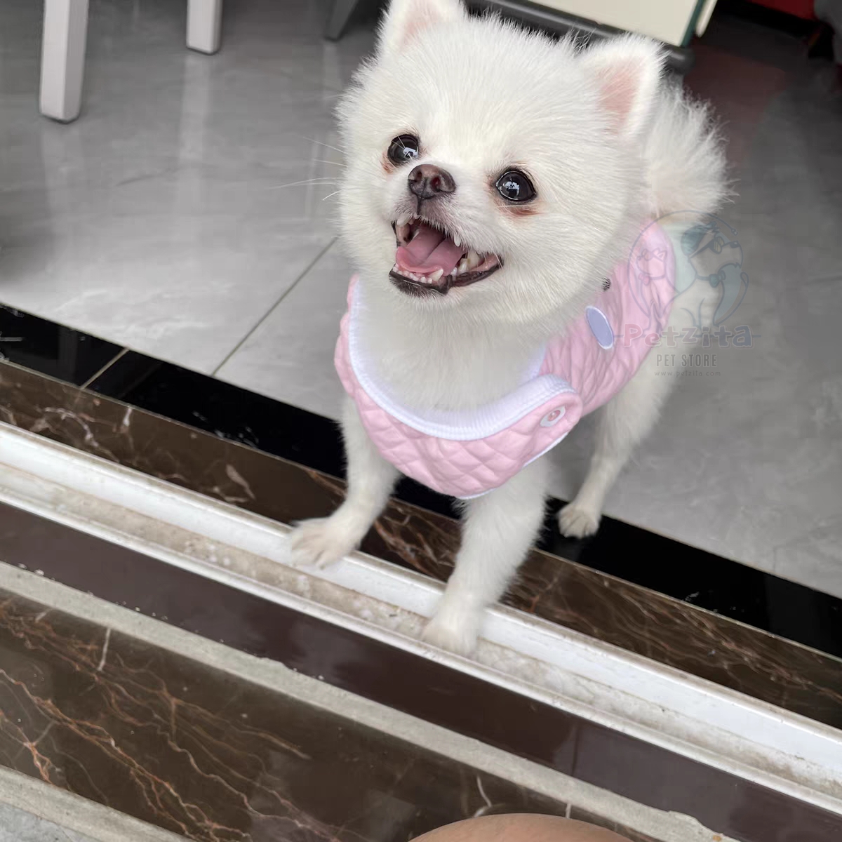 🇹🇭พร้อมส่ง🇹🇭 💗🌈 เสื้อกั๊ก สุดน่ารัก ผ้านุ่มนิ่ม สไตล์ญี่ปุ่น 🇯🇵 for pet สุนัข หมา แมว