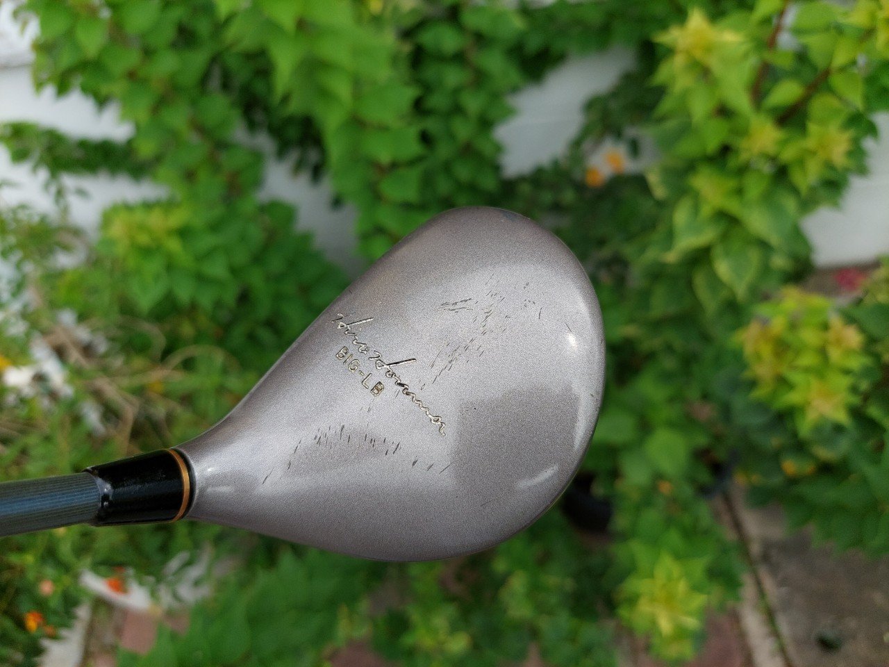 FW5 HONMA BIG LB K.B.MODEL