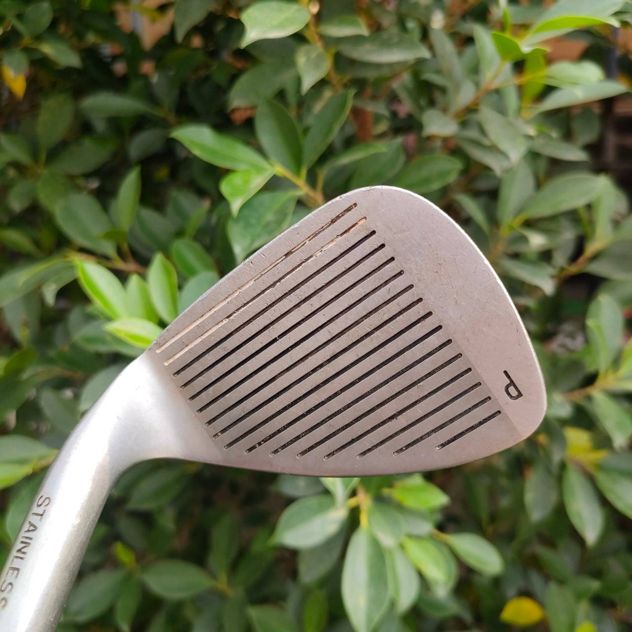 PW 956 GL GOLDEN LADDIE FLEX WEDGE องศา 48