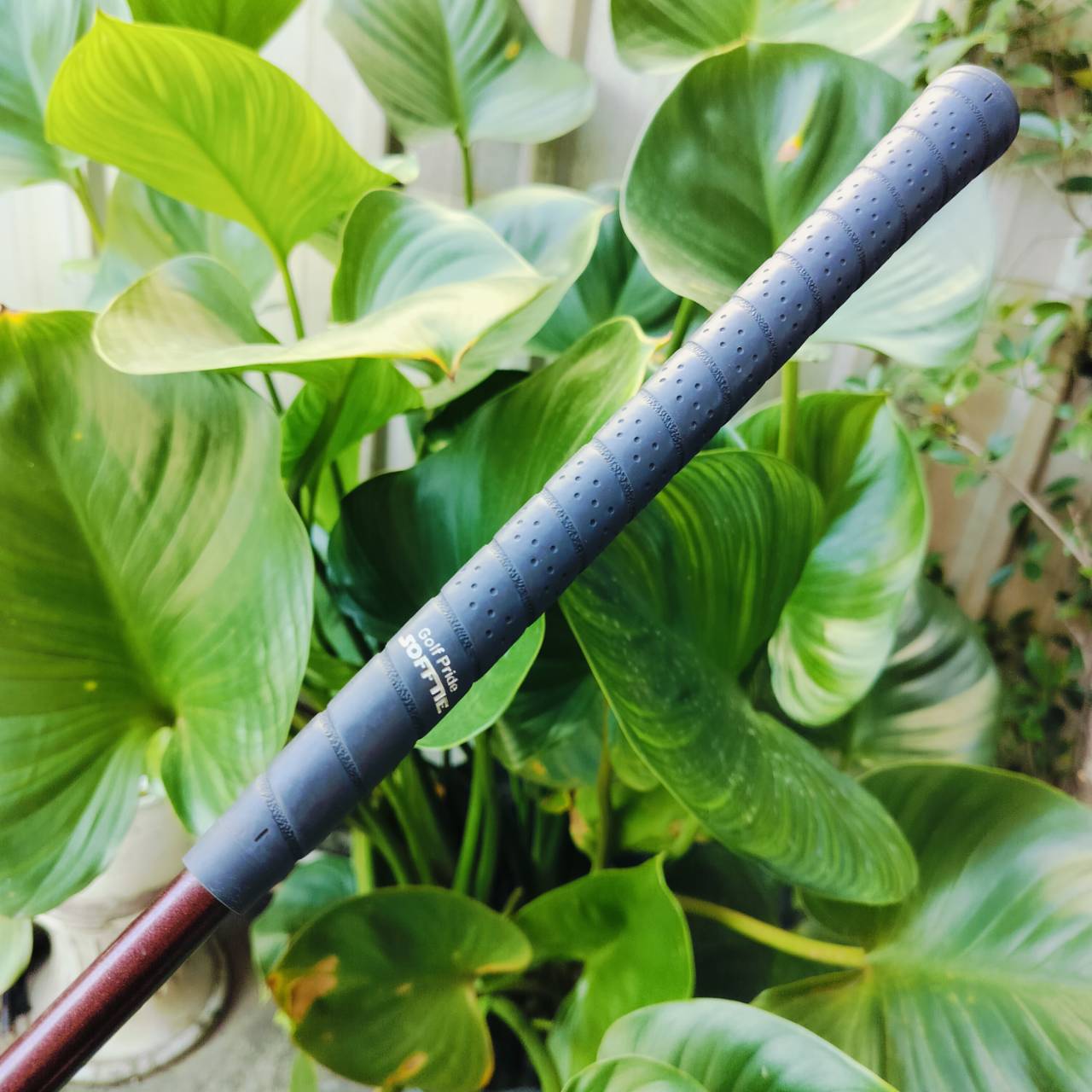 ชุดเหล็ก HONMA PP737 TOUR MODEL วัสดุ FORGED พรีเมี่ยม MADE IN JAPAN SAKATA ก้าน EXTRA "90" FLEX R-1 กริพเดิมทุกอย่าง ไม้กอล์ฟพรีเมี่ยมมือสอง ของแท้ By NakaraLuxurious