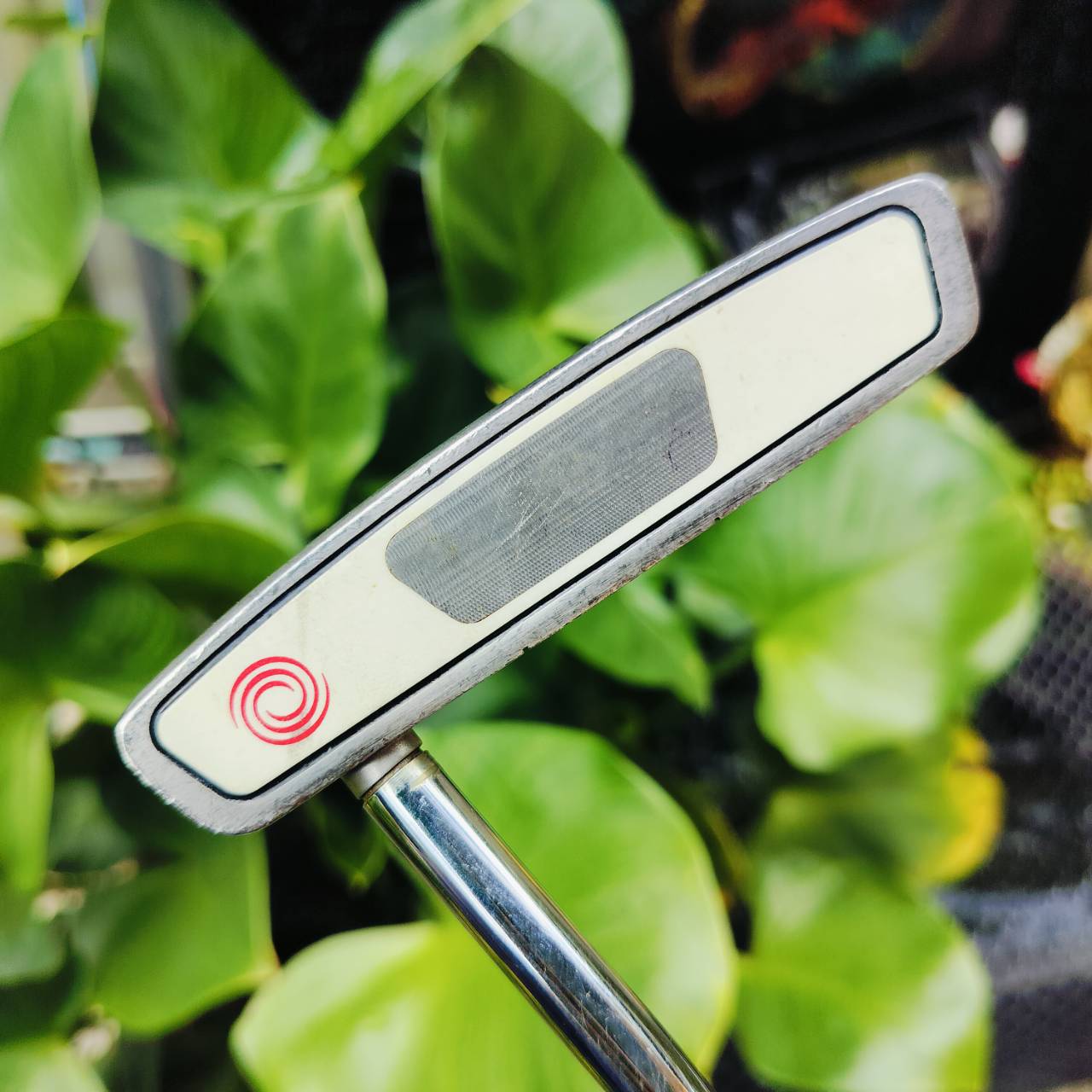 PUTTER ODYSSEY 2-BALL BLADE เป็นรุ่น WHITE STEEL อินเซิร์ทมี MILLED ช่วยในเรื่องการเกาะไลน์มาก ไม้กอล์ฟพรีเมี่ยมญี่ปุ่นมือสอง By NakaraLuxurious
