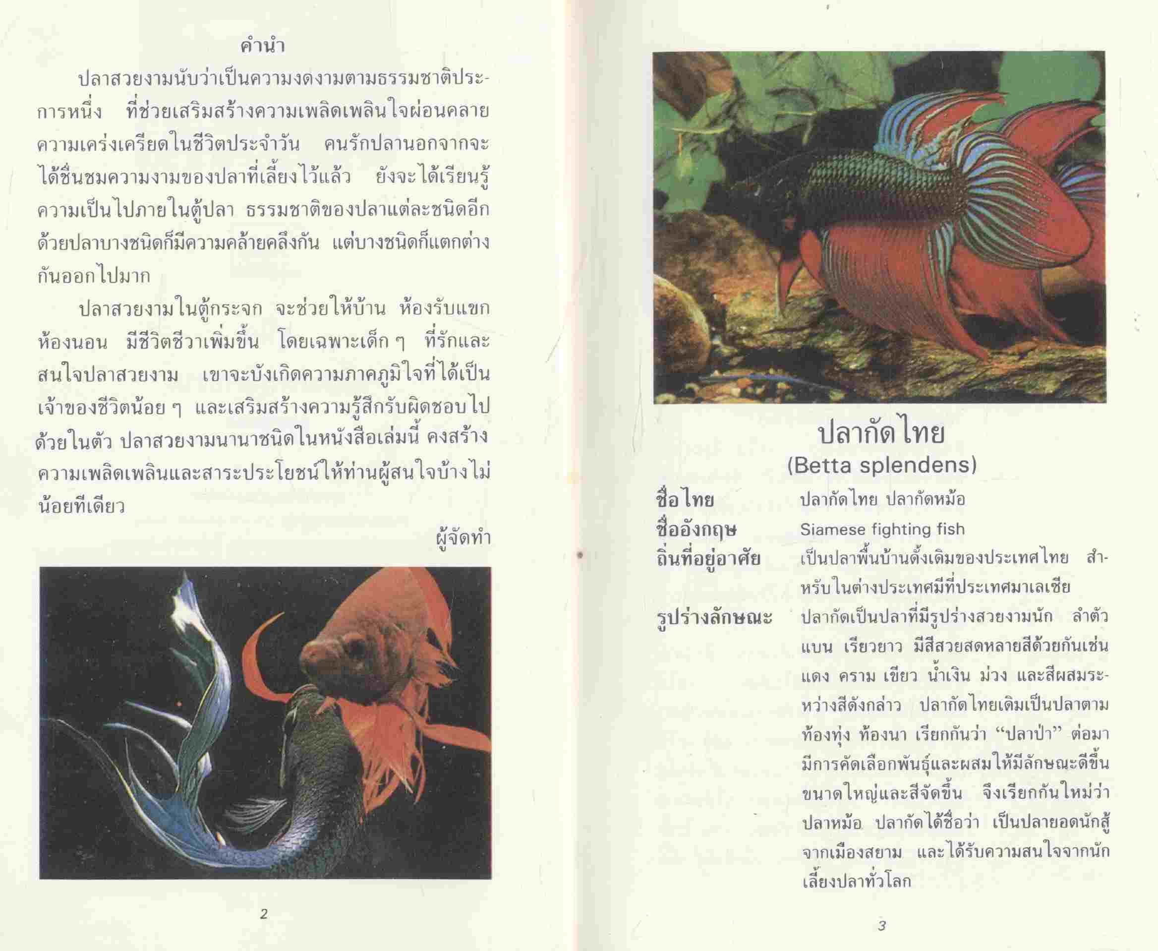 คู่มือเลี้ยงปลาตู้สวยงาม