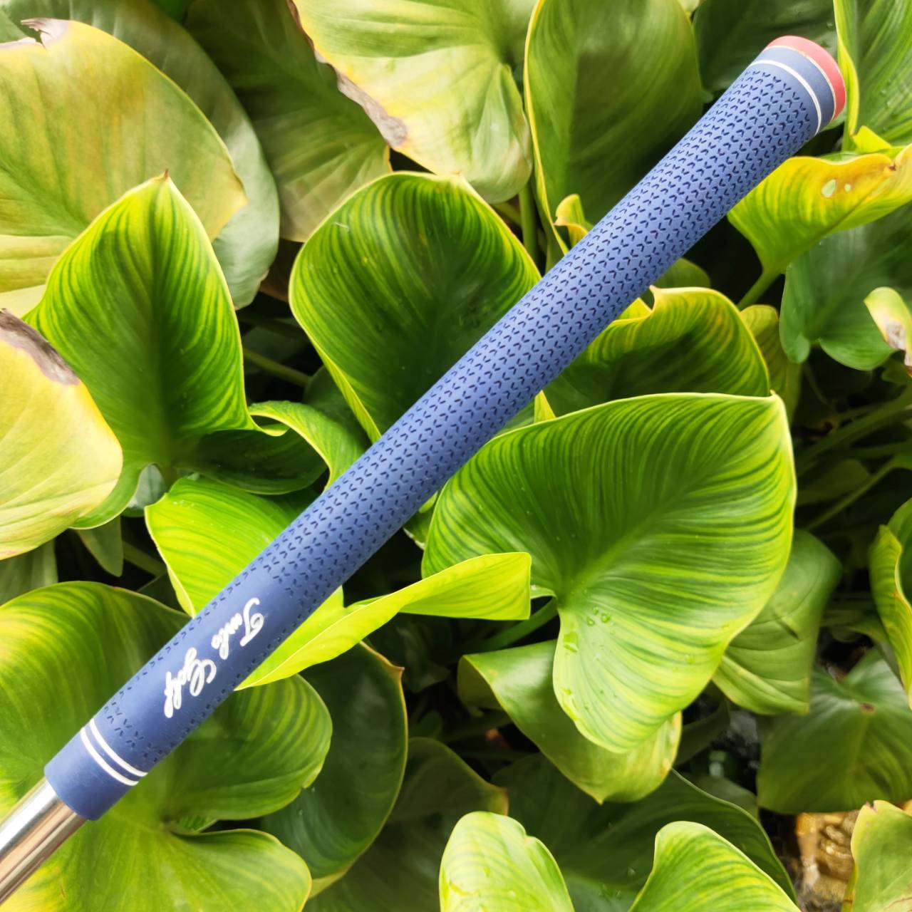 ชุดเหล็ก PING ZING | ก้าน TX90 R ได้รับความนิยมอย่างต่อเนื่องจากฟีลลิ่งเฉพาะตัวที่เหนือชั้น