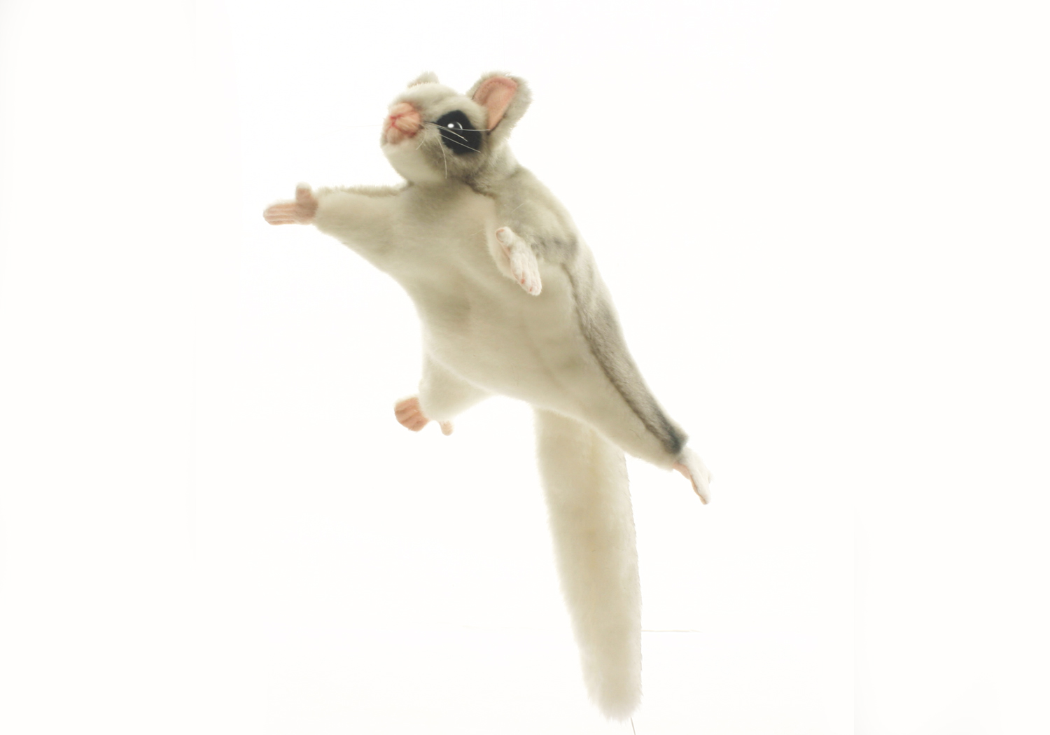 4692 Sugar Glider 22 cm. L
