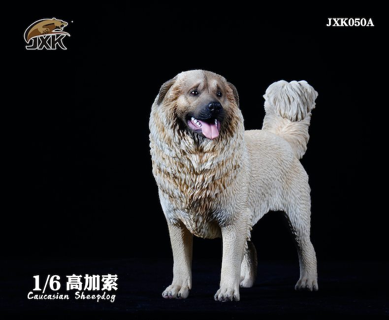 [สั่งจอง]JXK JXK050 1/6 : Caucasian Sheepdog