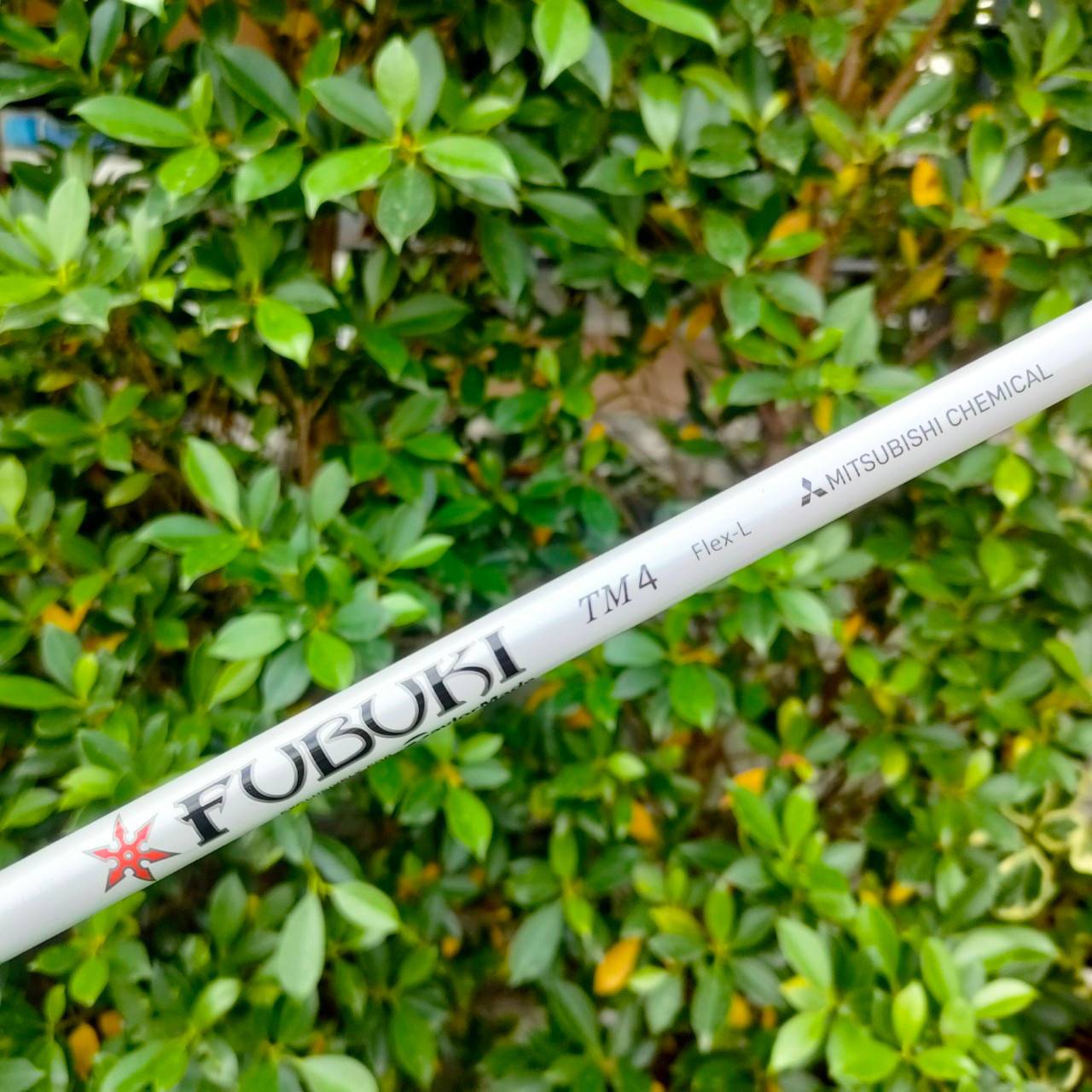 **ไม้กอล์ฟสำหรับผู้หญิง** DRIVER TAYLORMADE M6 D-TYPE LADY องศา 12 ก้าน FUJIKURA TM4 FLEX L Driver คุณผู้หญฺงที่ทรงคุณค่ามาก