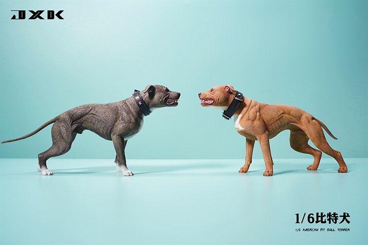 [สั่งจอง]JXK JXK129 1/6 : Pitbull