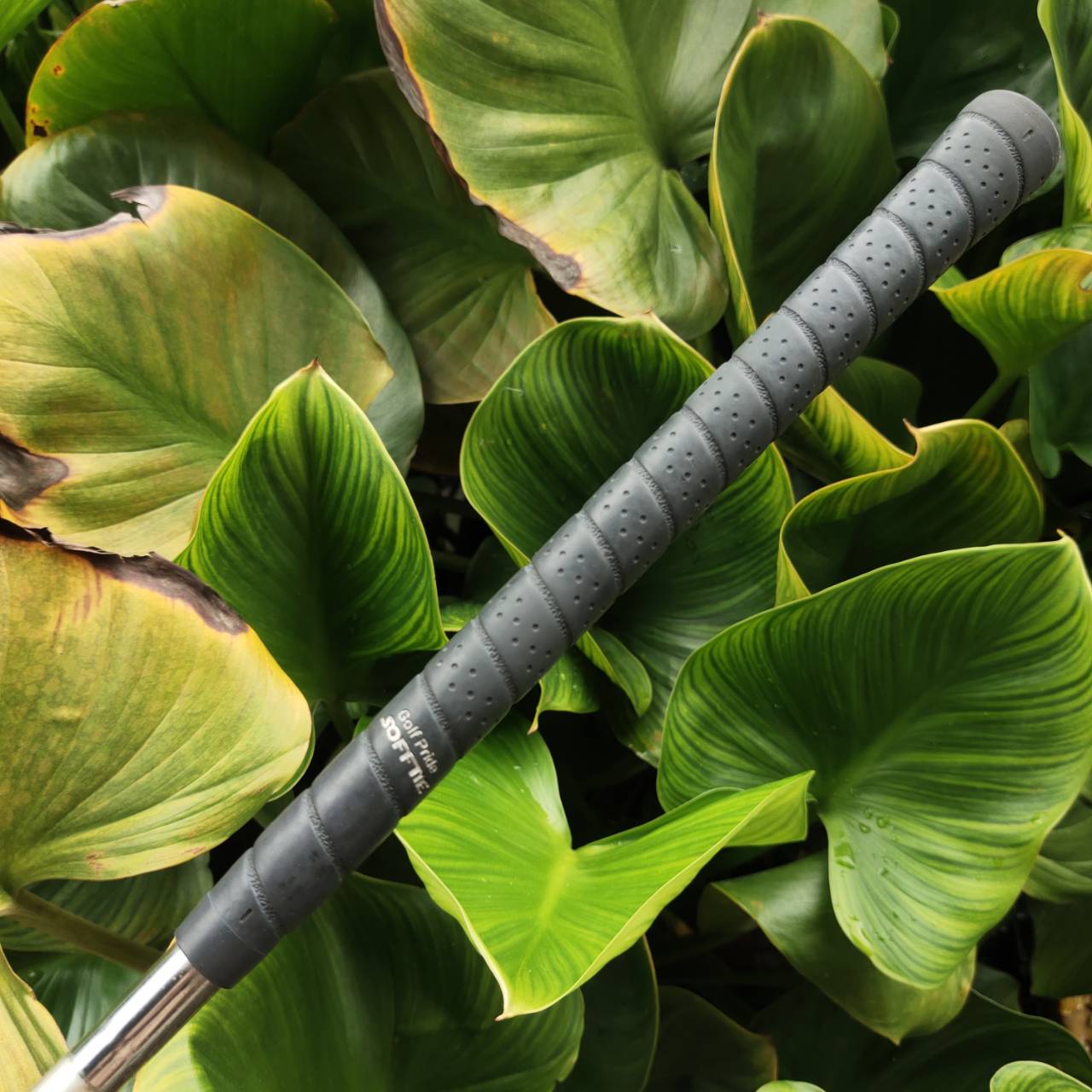 ชุดเหล็ก MIZUNO PRO MS-203 ตำนานจากญี่ปุ่น! สุดยอดเหล็ก Muscle Back ฟีลลิ่ง “Pure Forged”