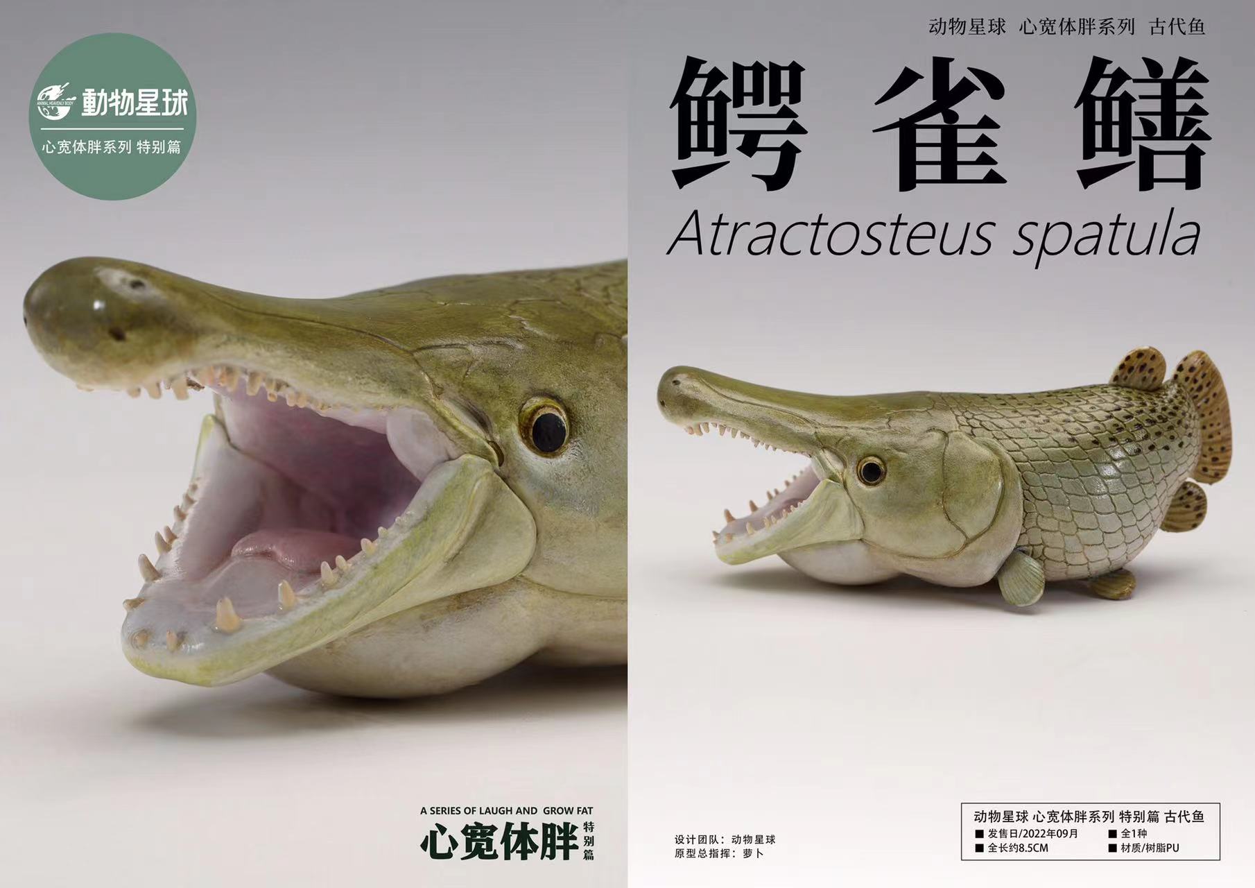 [สั่งจอง]Animal Planet : Alligator Gar