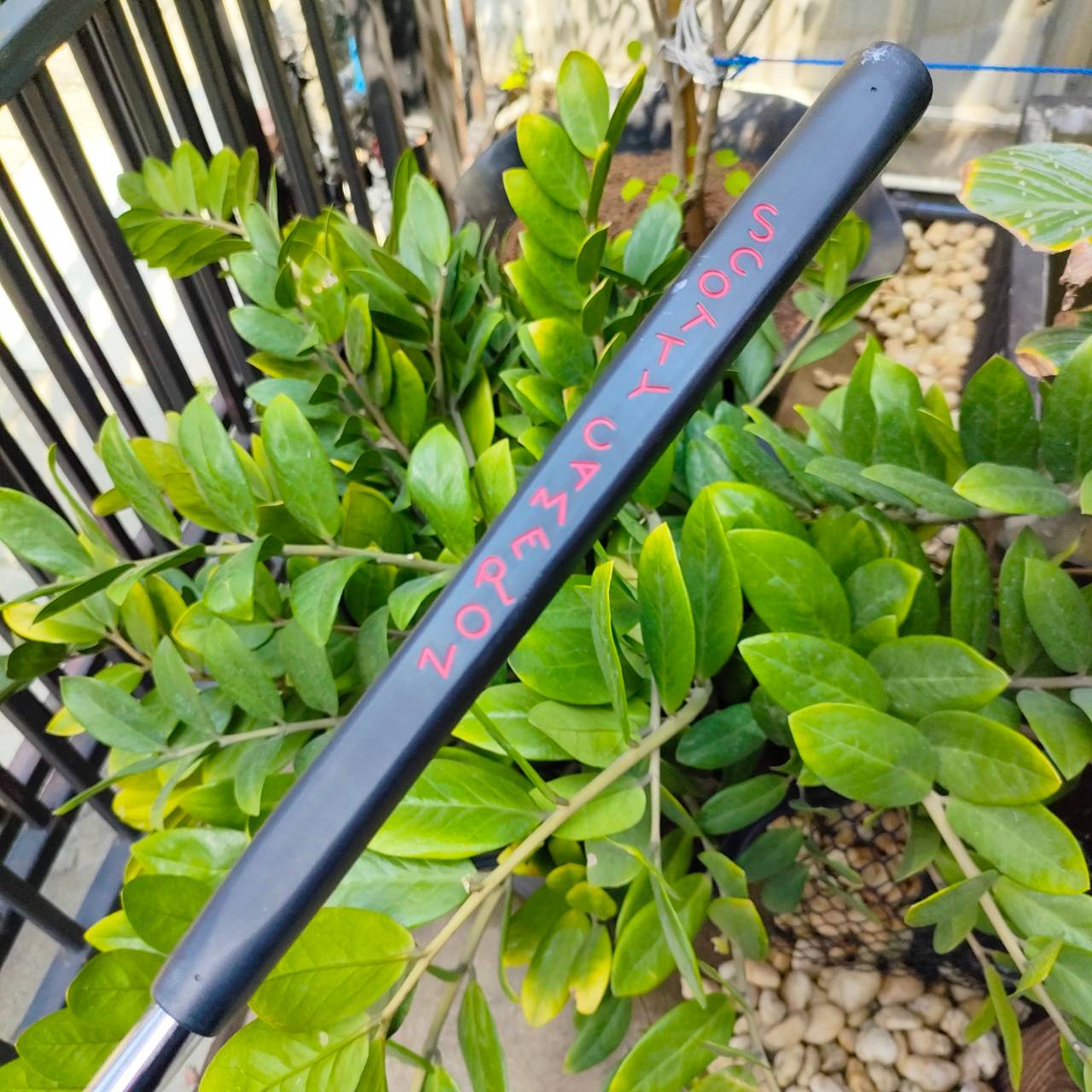 PUTTER TITLELIST SCOTTY CAMERON SELECT NEWPORT 1.5 ยาว 34 นิ้ว ไม้กอล์ฟพรีเมี่ยมมือสอง By NakaraLuxurious