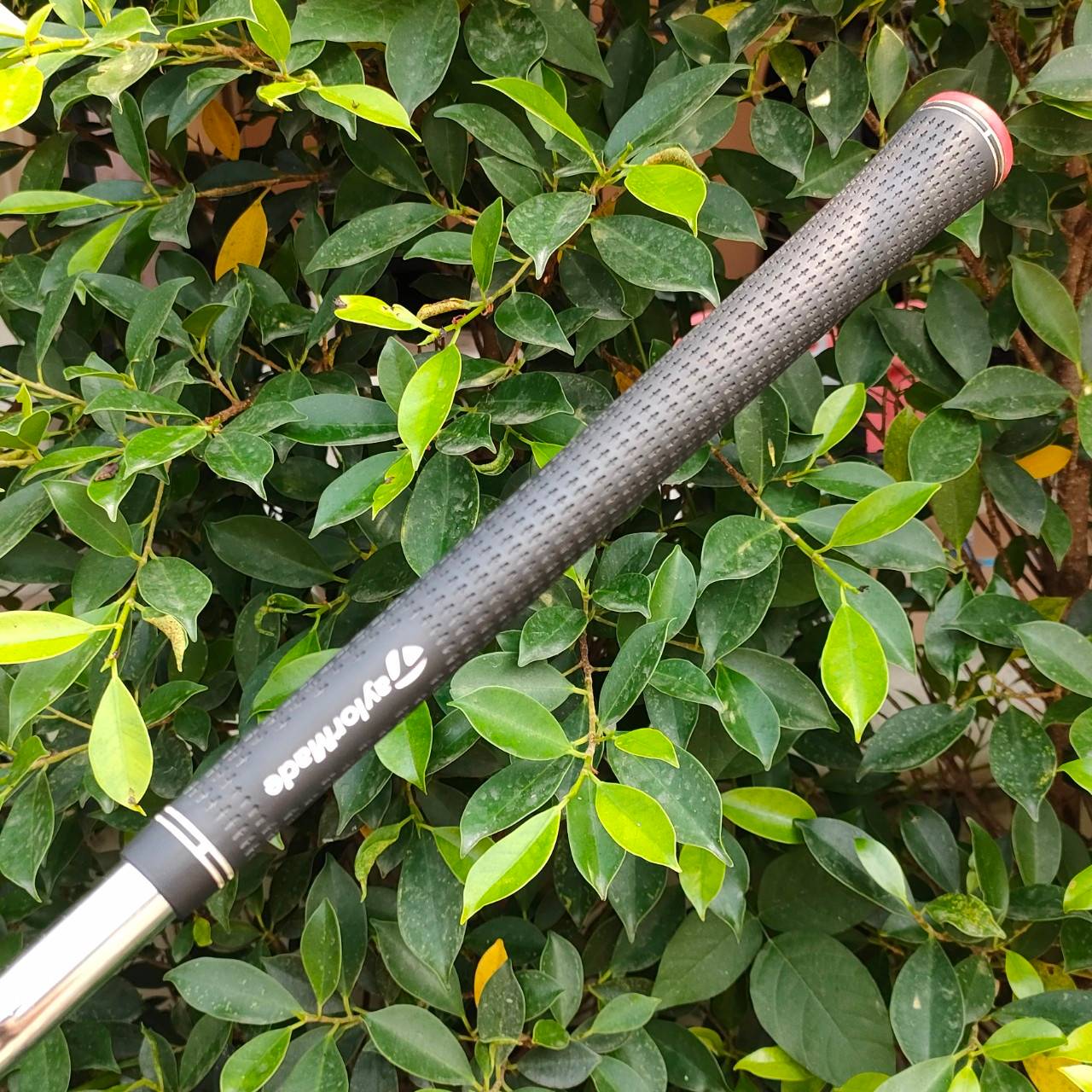 ชุดเหล็ก TAYLORMADE r7 FORGED มีเหล็ก 4-9 เเละ PW ก้าน N.S.PRO 950 GH FLEX S รุ่นนี้สุดยอดของสุดยอดครับ เพราะเป็นเหล็ก FORGED คุณภาพ ระดับสูงของแบรนด์ Taylormade ออกแบบให้ตีง่าย ใบ Cavity ใหญ่ ซึ่งใช้วัสดุเยอะมาก แพงมาก หายาก และจะทำให้ตีทั้งนุ่ม และไกลสุ