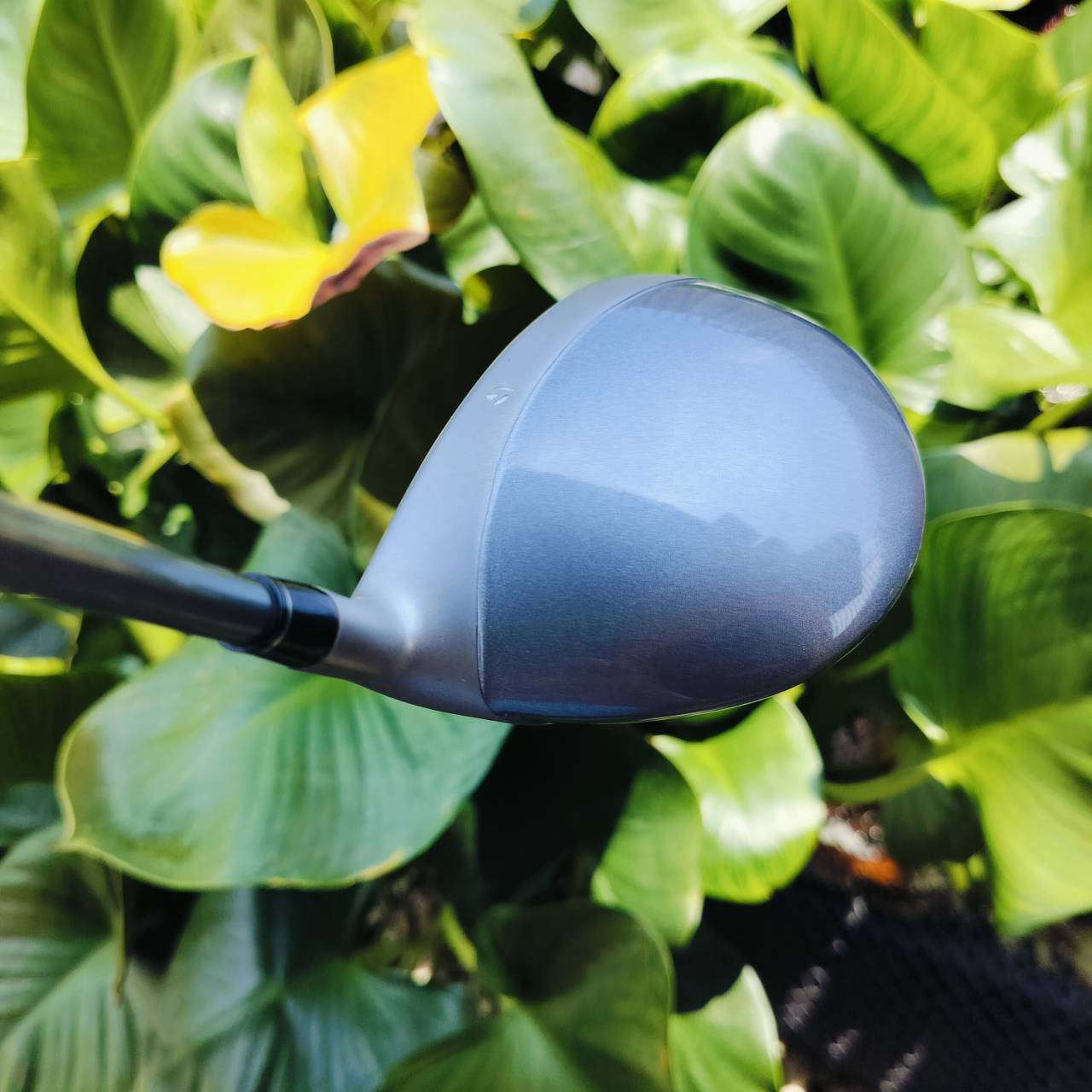 🏌️♀️ไม้กอล์ฟสำหรับผู้หญิง 🏌️♀️ ** ถุงกอล์ฟมีตำหนิ มีรูป** . SET TAYLORMADE MISCELA เป็นก้านเบาพรีเมี่ยมจริงๆ หัวไม้หัวใหญ่ หน้าเด้ง ตีตรง ไม้ช่วยเพิ่มระยะให้อย่างดี ไม้กอล์ฟพรีเมี่ยมมือสอง ของแท้ By NakaraLuxurious