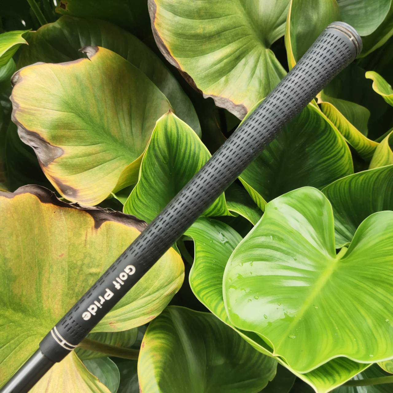 PING G2 – เหล็ก 4 HL (High Launch) เหล็กตีง่ายสำหรับผู้ต้องการเพิ่มระยะและมุมเหิน!