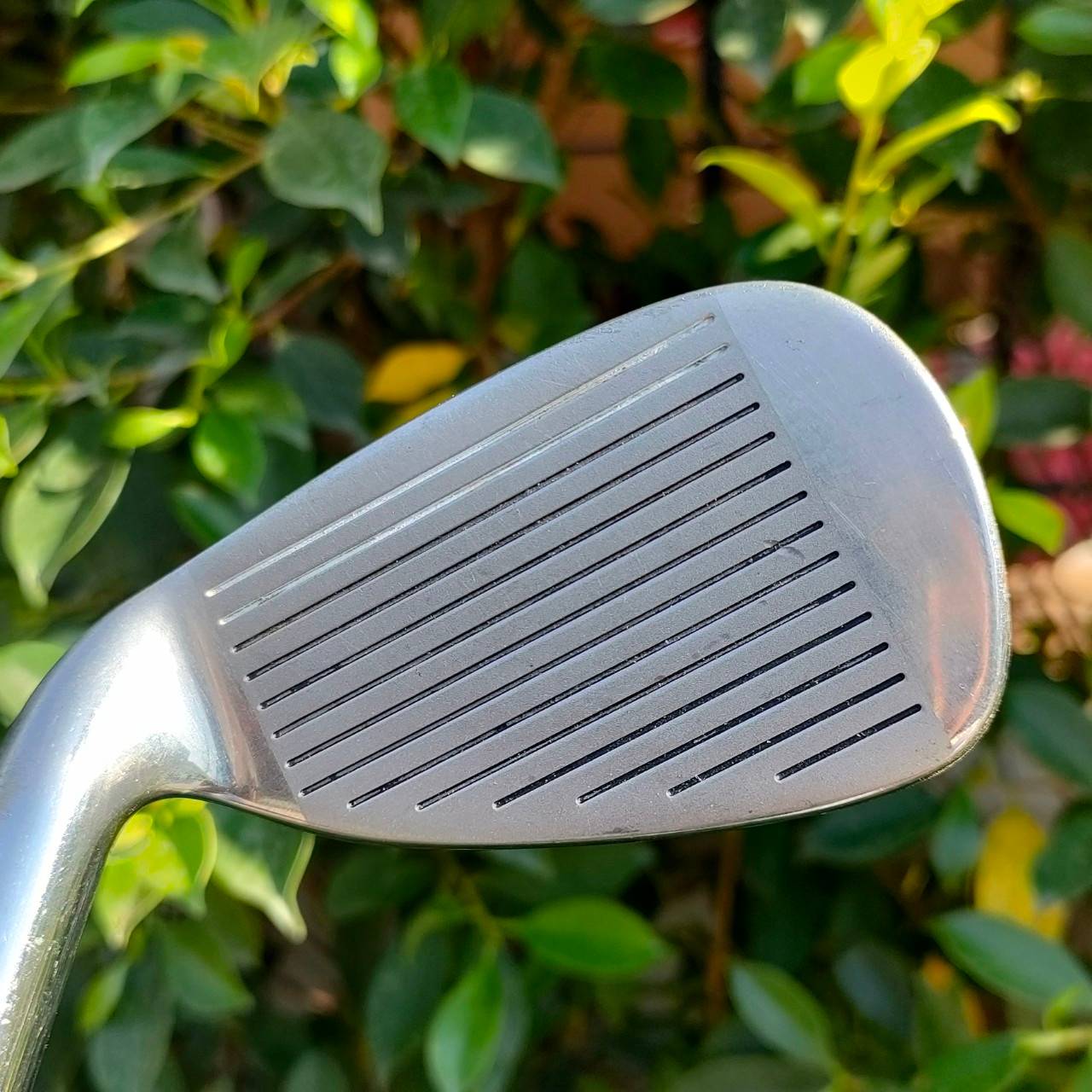 ** ไม้กอล์ฟสำหรับผู้หญิง ** ชุดเหล็ก PROKENNEX SIGMA LOW GRAVITY มีเหล็ก 6-9 เเละ PW SW ก้าน SIGMA FLEX L เป็นชุดที่ตีง่ายมากๆ มีออฟเซ็ทที่พอดิบพอดี และ CAVITY ที่ลงตัวครับ MADE IN JAPAN