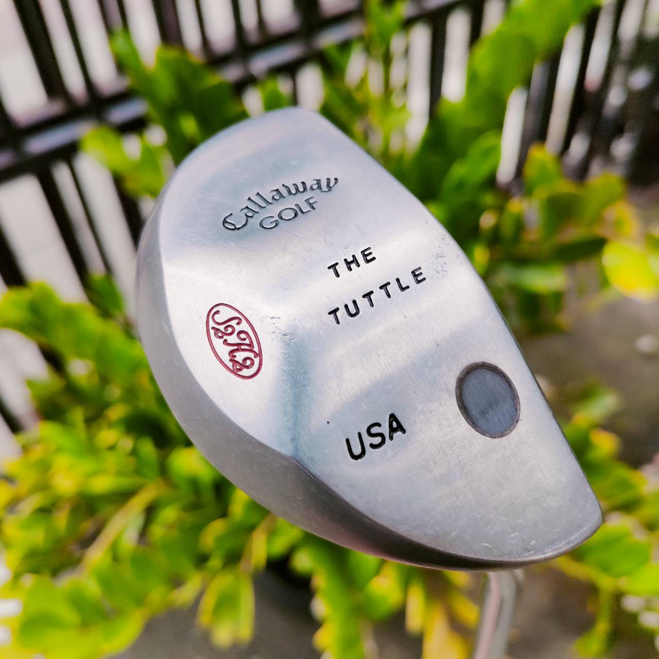 พัตเตอร์ Callaway TUTTLE พัตเตอร์หลังเต่าในตำนาน ก้านเสียบทะลุสวยๆ ได้ฟีล หาเก็บกันอย่างต่อเนื่อง ความยาว 35 นิ้ว ไม้กอล์ฟพรีเมี่ยมมือสอง ของแท้ By NakaraLuxurious