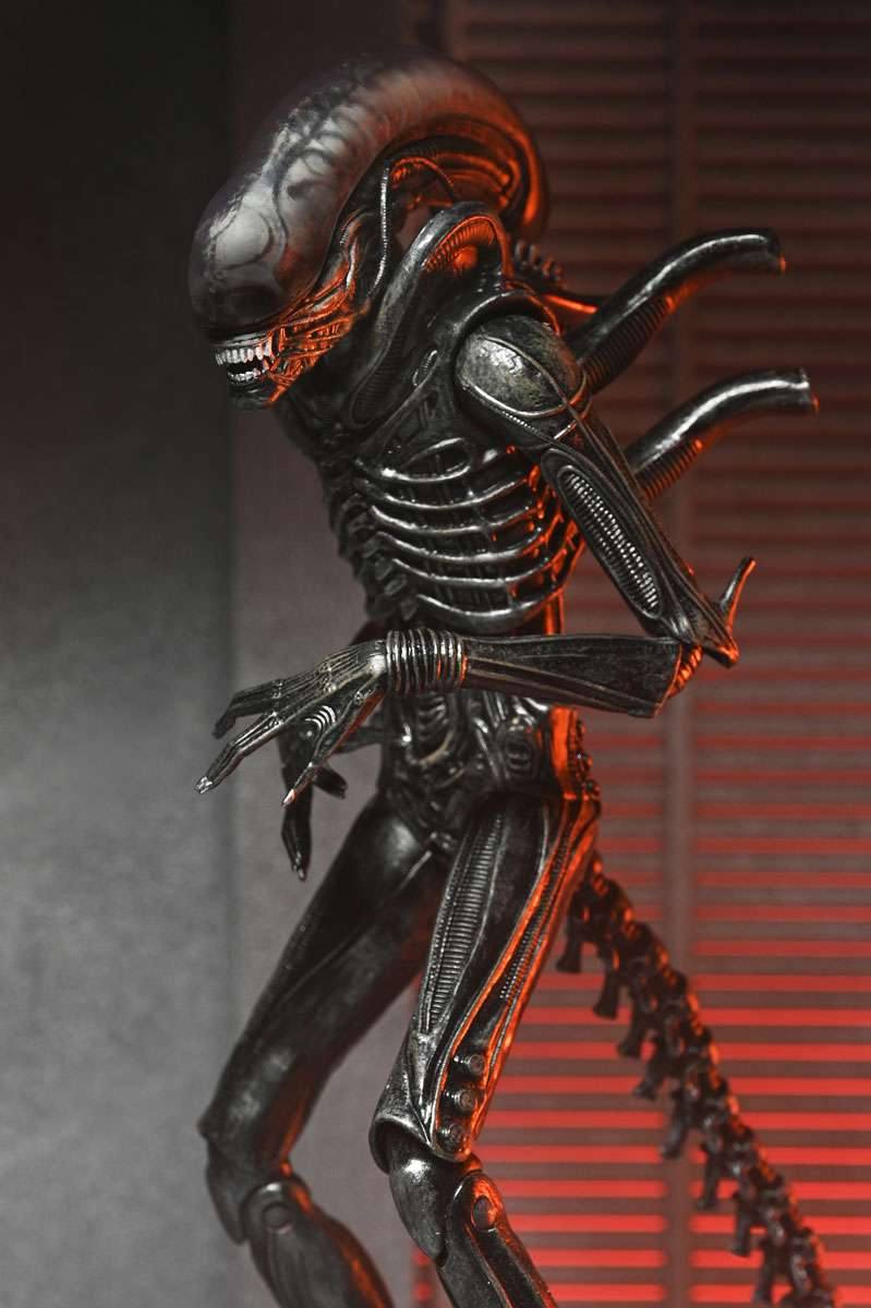[สั่งจอง]Neca : Xenomorph XX121