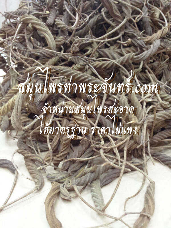 ปอกะบิด / ปอบิดแห้ง