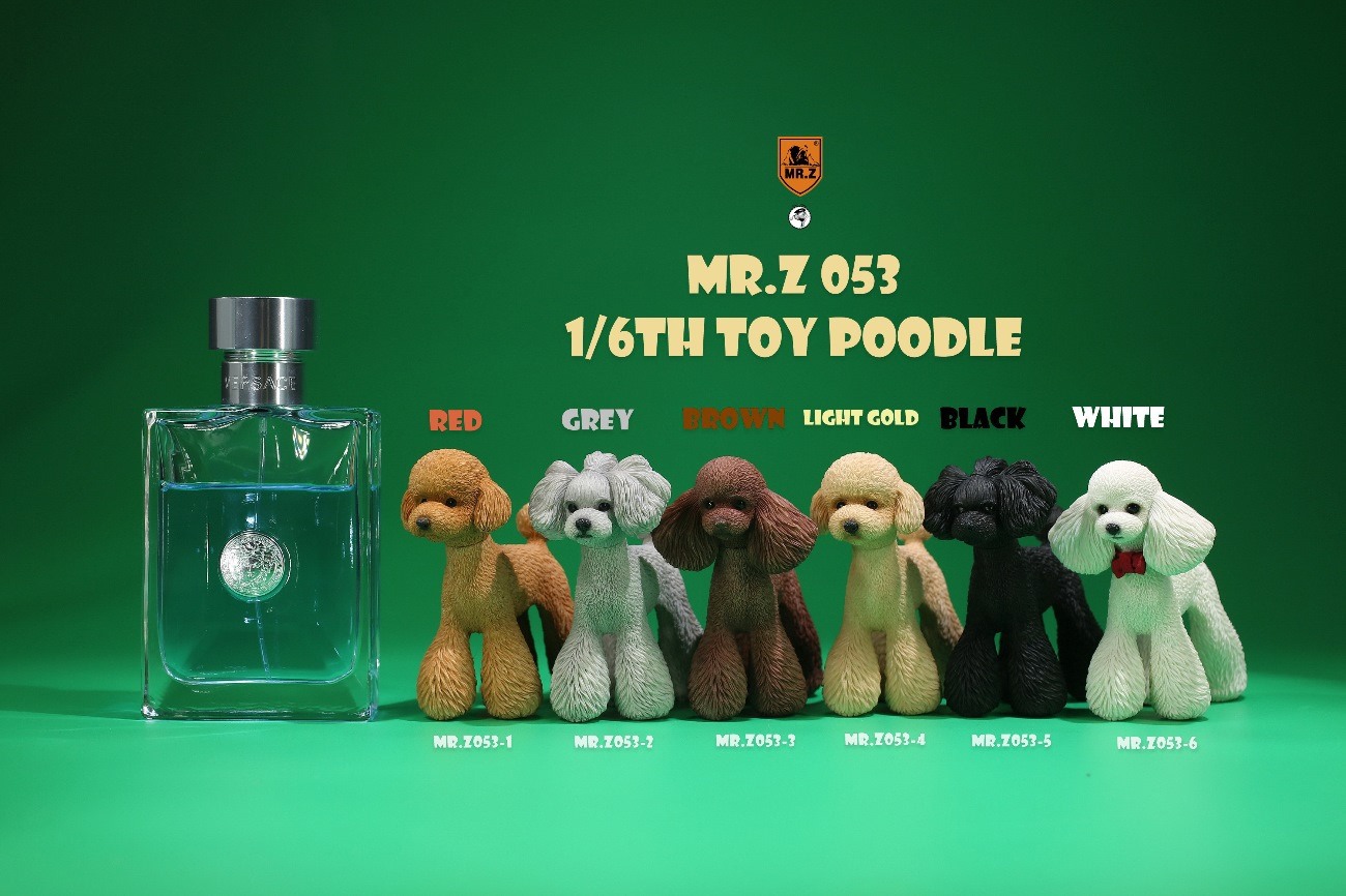 [สั่งจอง]Mr.Z MRZ053 animal model 1/6 : Toy Poodle