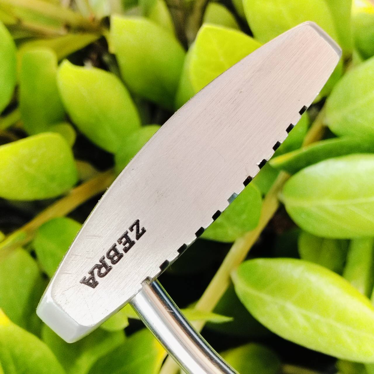 PUTTER ZEBRA By RAM GOLF แบบ FACE BLANCED ยาว 33 นิ้ว รูปทรงมอลเล็ต แต่ไม่ยื่นออกมาก ขนาดกำลังดีเลยค่ะ ฟีลลิ่งที่สุด น้ำหนักดี พัตต์นุ่มและง่ายมาก ไม้กอล์ฟพรีเมี่ยมมือสอง ของแท้ By NakaraLuxurious