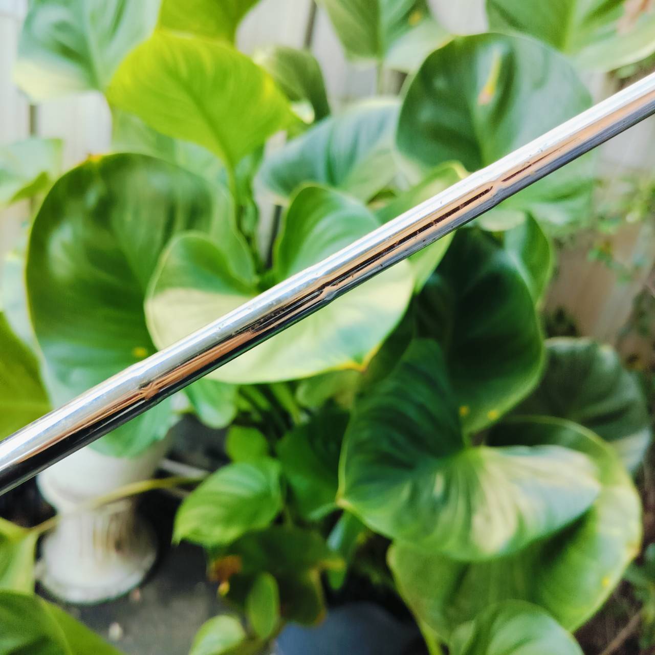 เหล็ก 4 T-ZOOM X5 เป็นเหล็ก FORGED CAVITY ฟีลลิ่งนุ่มนวล และตีง่ายมาก เป็นเหล็กยาวที่ตีง่าย ก้านเหล็ก เดิมๆ สติ๊กเกอร์ครบ ไม้กอล์ฟพรีเมี่ยมมือสอง ของแท้ By NakaraLuxurious