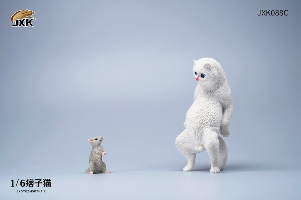[สั่งจอง]JXK JXK088 1/6 : Exoticshorthair