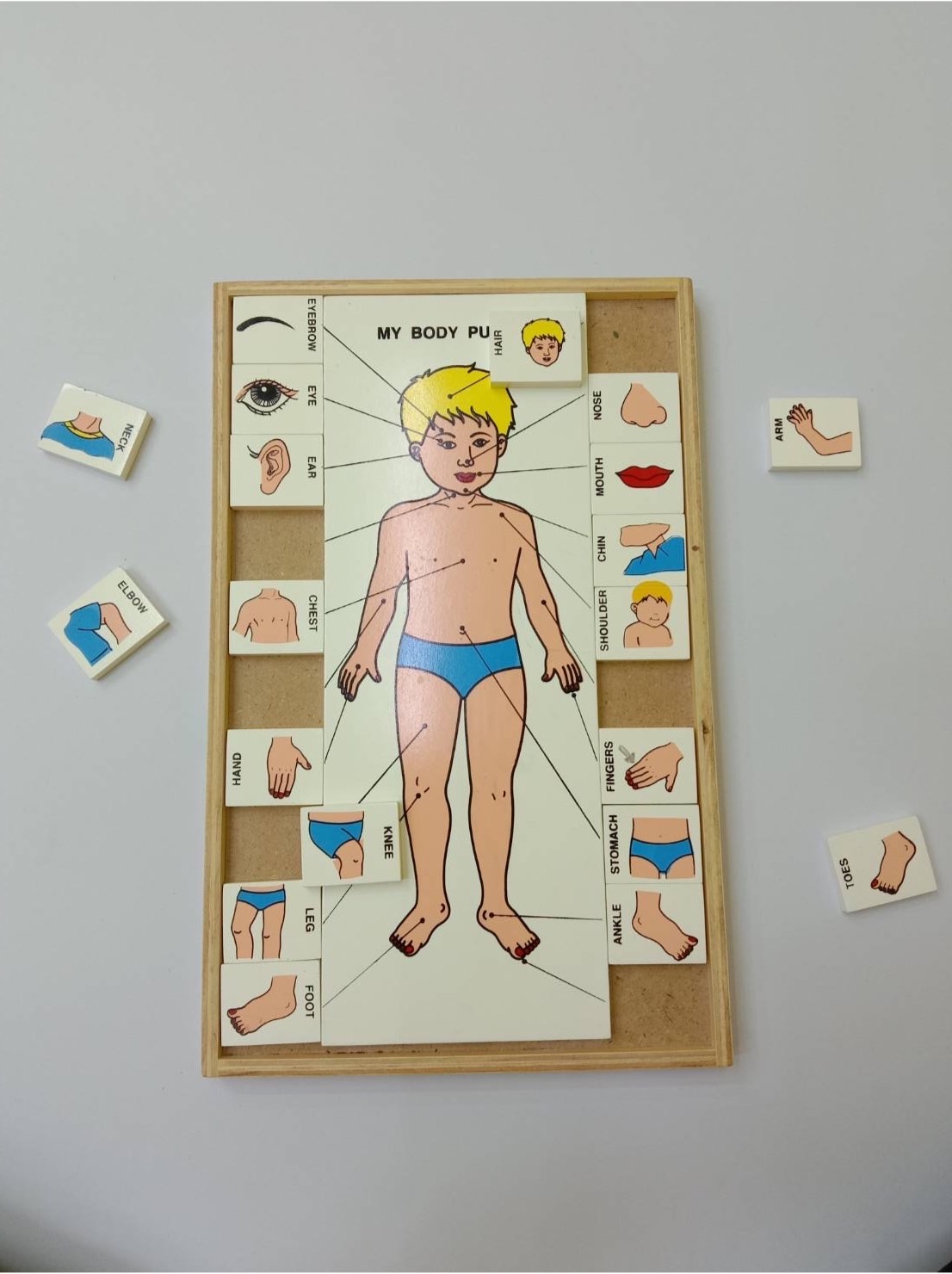 จับคู่ร่างกายของฉัน (ภาษาไทย) , ของเล่นไม้, ของเล่นเสริมพัฒนาการ, ของเล่นเด็ก, สื่อการสอนเด็ก