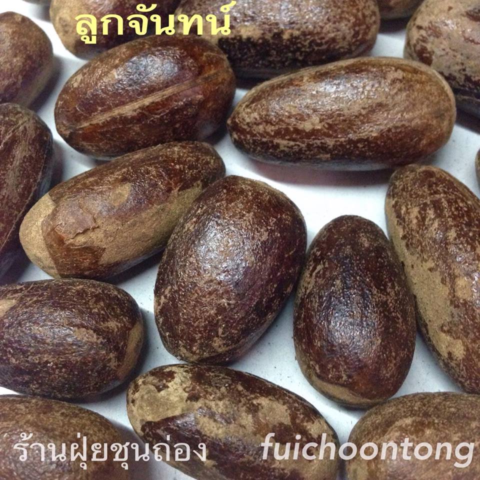 ลูกจันทน์เทศ