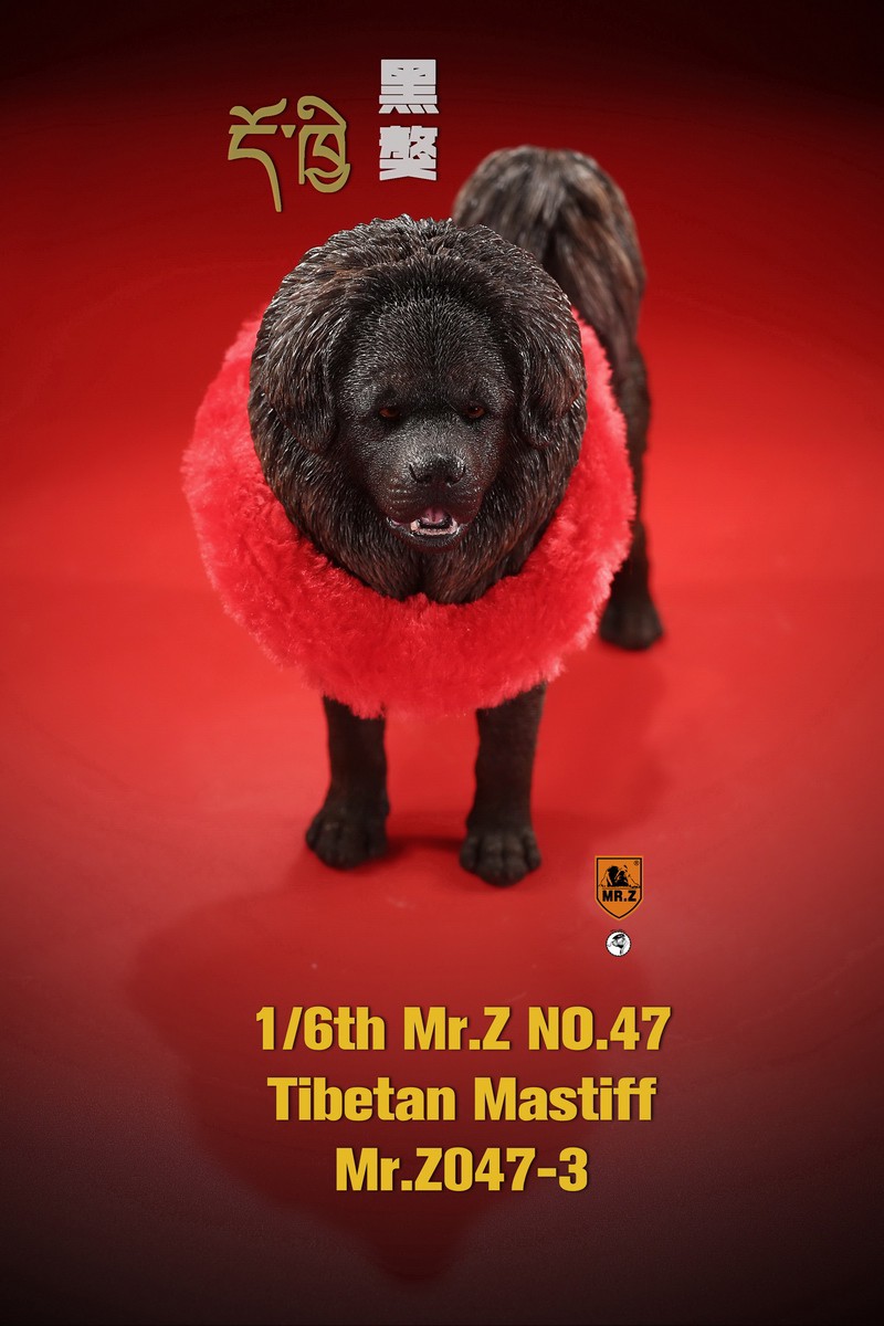 [สั่งจอง] MR. Z Animal Model MRZ047 1/6th Tibetan Mastiff