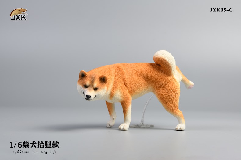 [สั่งจอง]JXK studio 1/6 : Shiba Inu